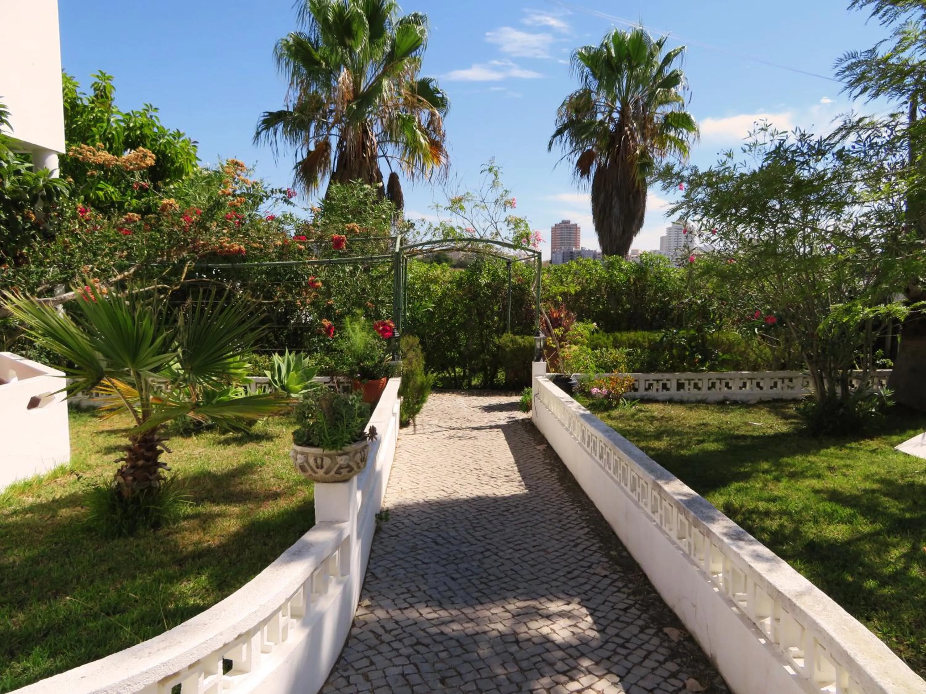 Garden in Villa Alcaide