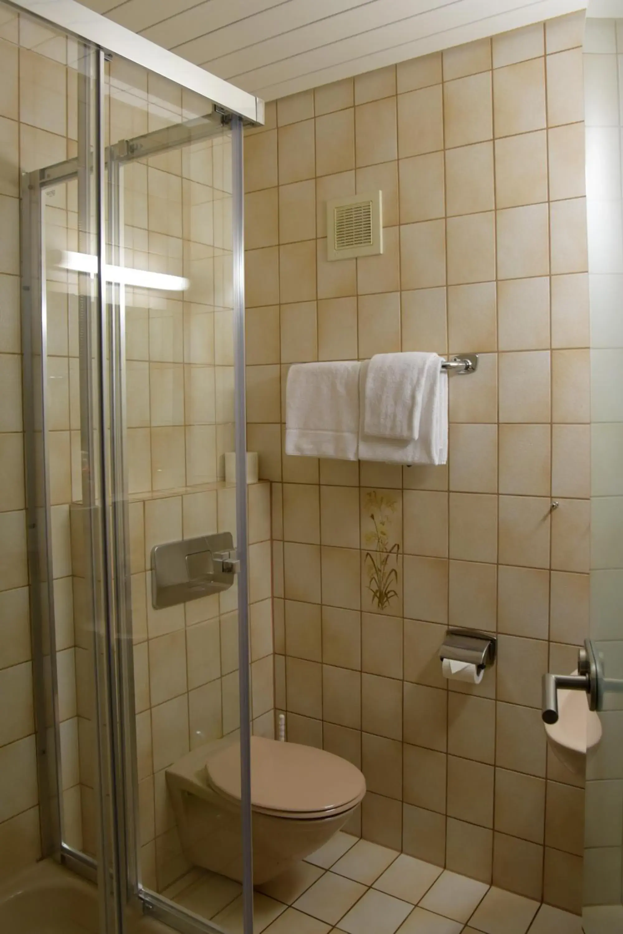 Double Room with Private Bathroom in Hotel - Restaurant Baumann Double Room with Private Bathroom in Hotel - Restaurant Baumann