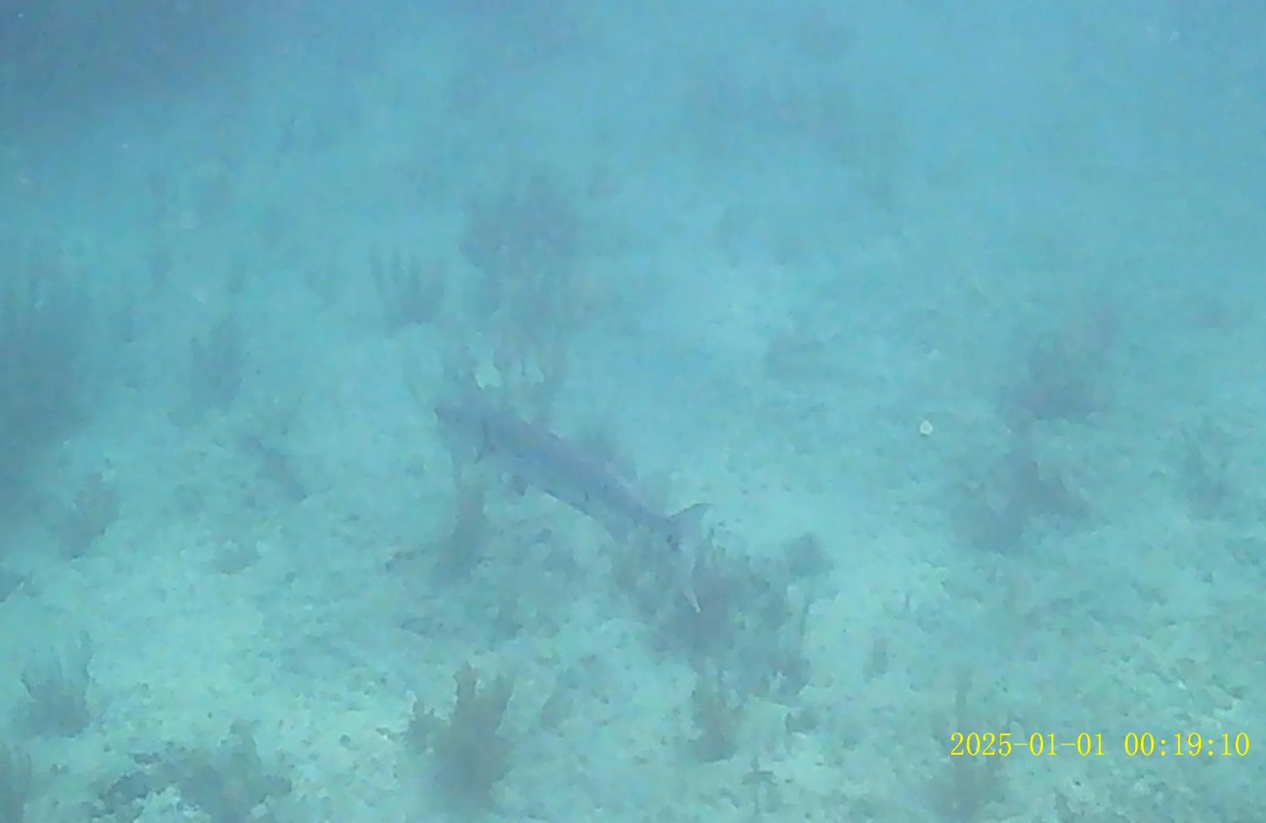 Casa Linda Victoriaville