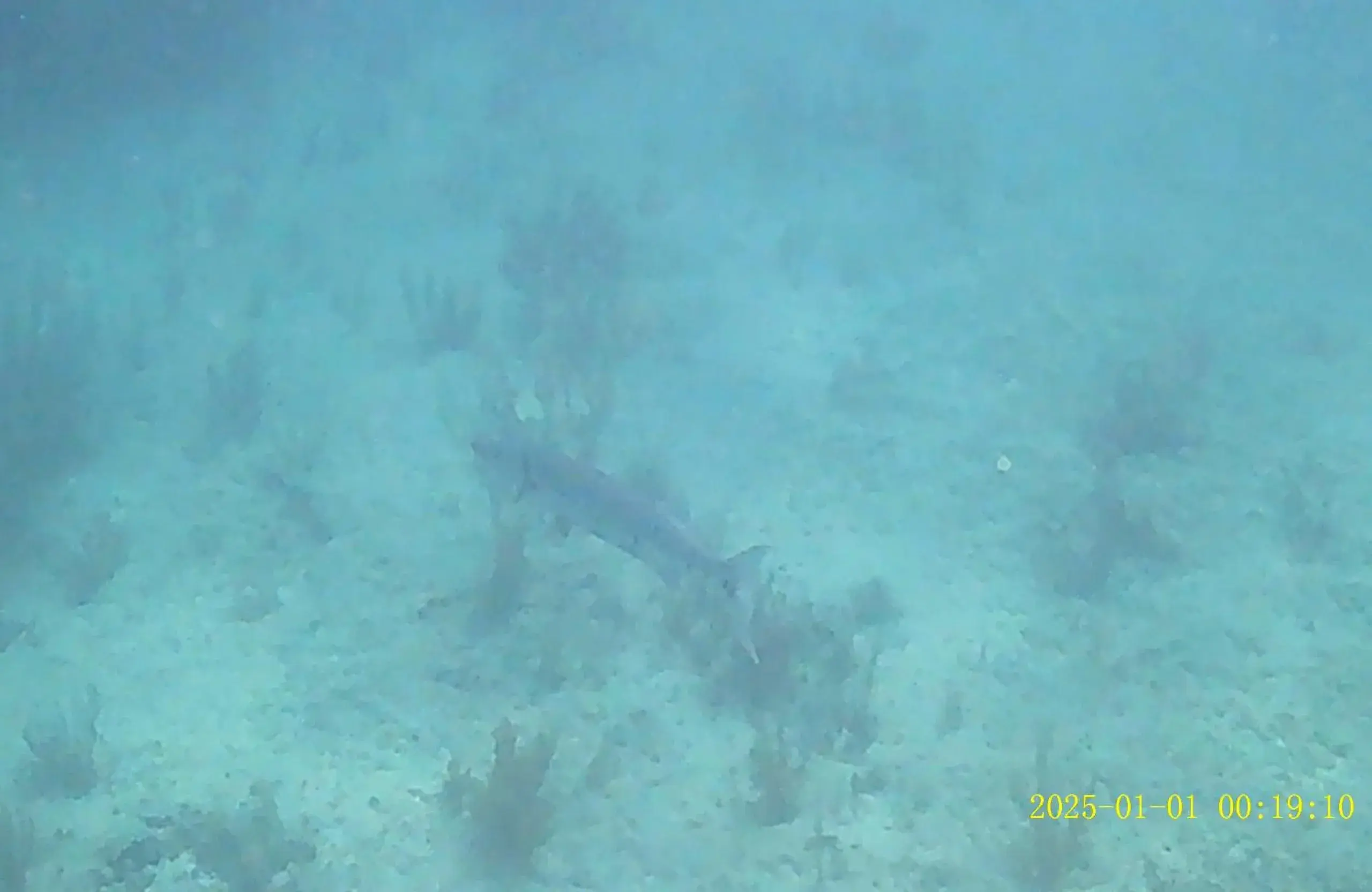 Standard Double Room with Shared Bathroom in Casa Linda Victoriaville Standard Double Room with Shared Bathroom in Casa Linda Victoriaville