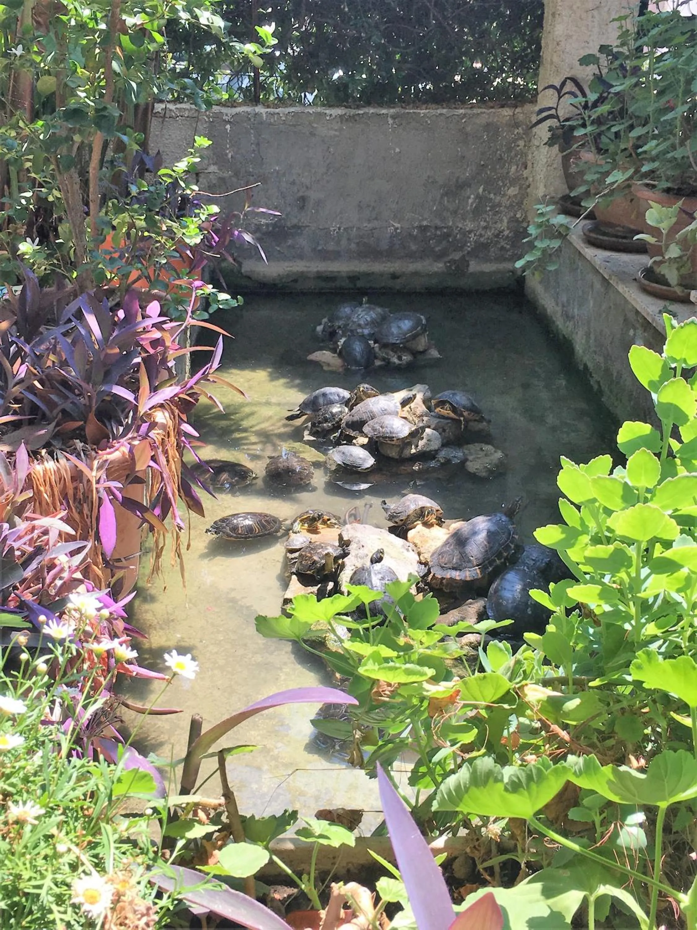 Animals in Oasi Del Gabbiano