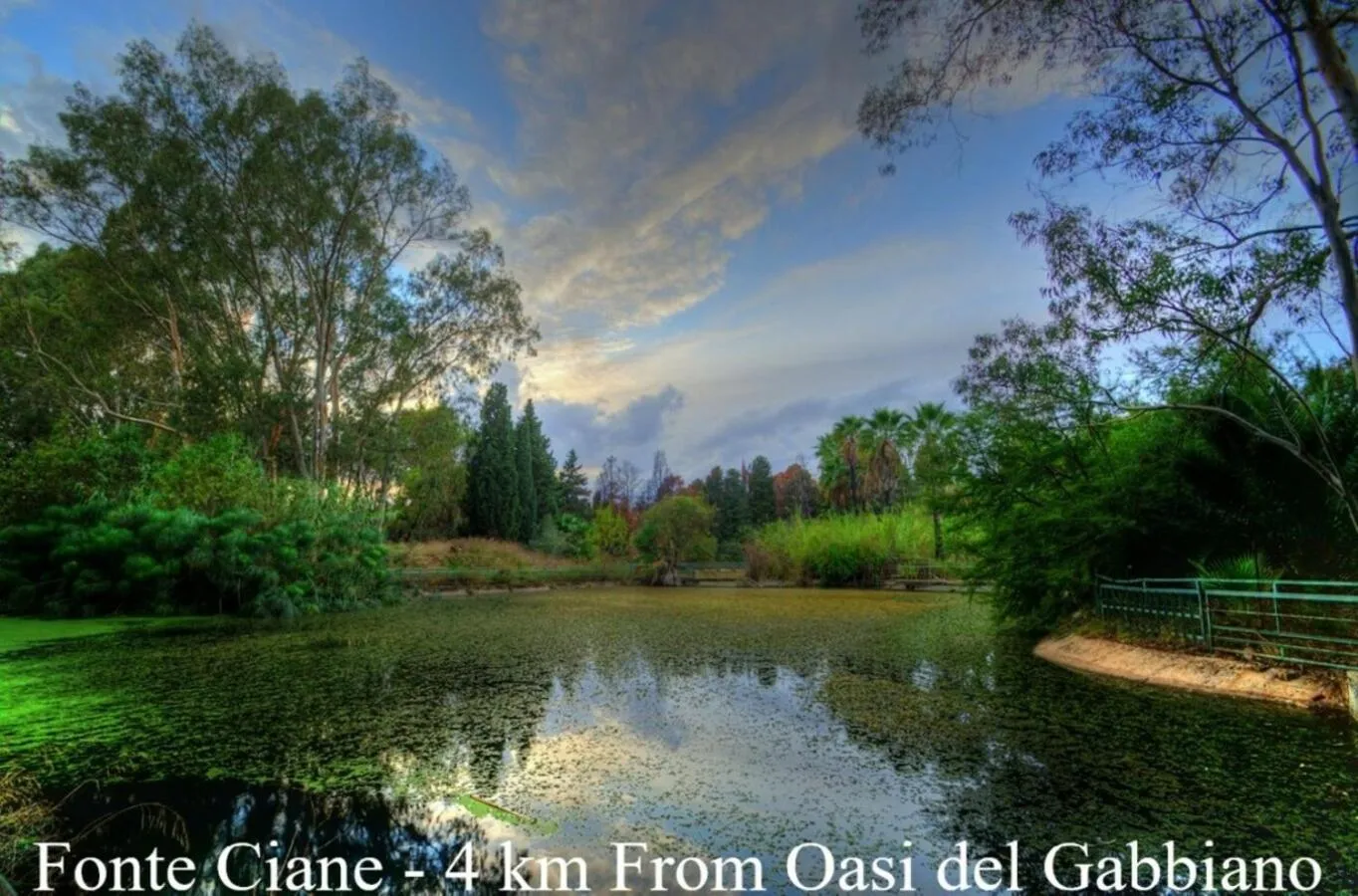 Nearby landmark in Oasi Del Gabbiano
