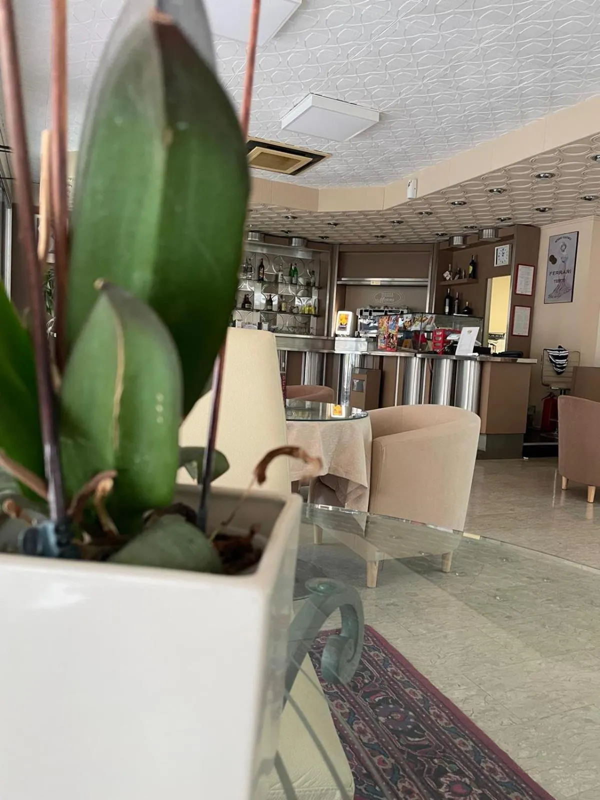 Lounge or bar in Hotel Ristorante Mommo