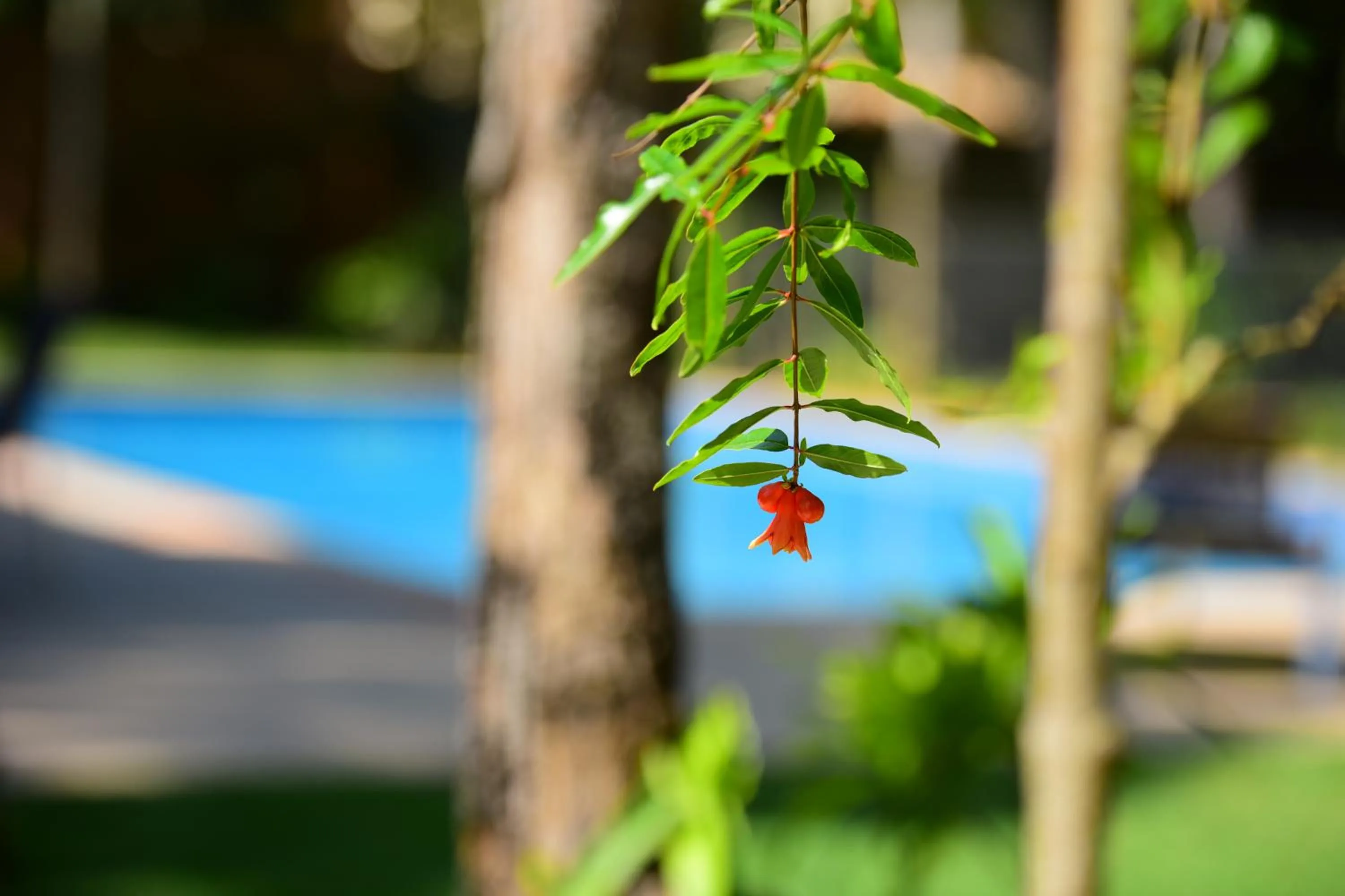 Quintas do Arraial Guest House