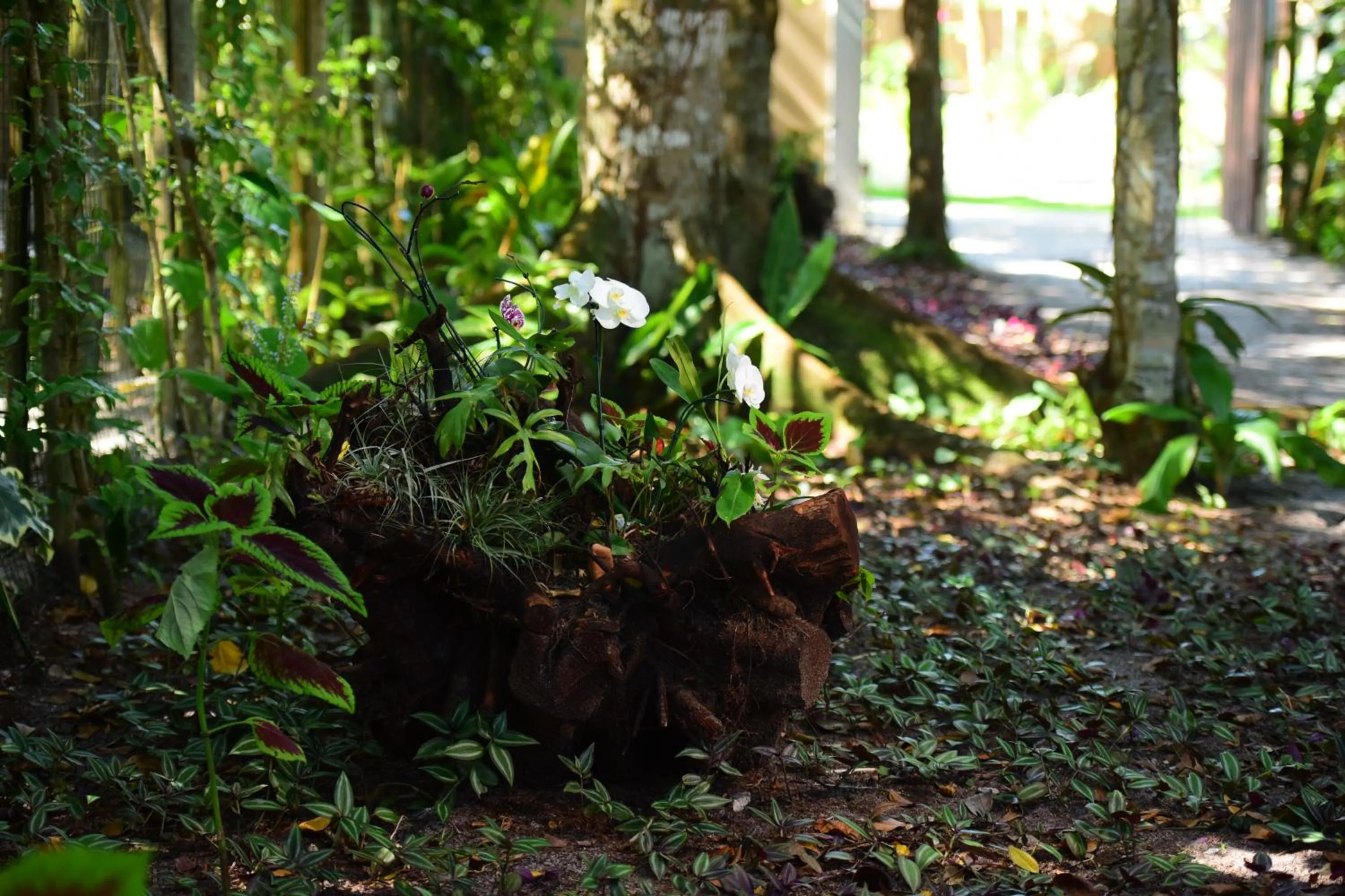 Natural landscape in Quintas do Arraial Guest House