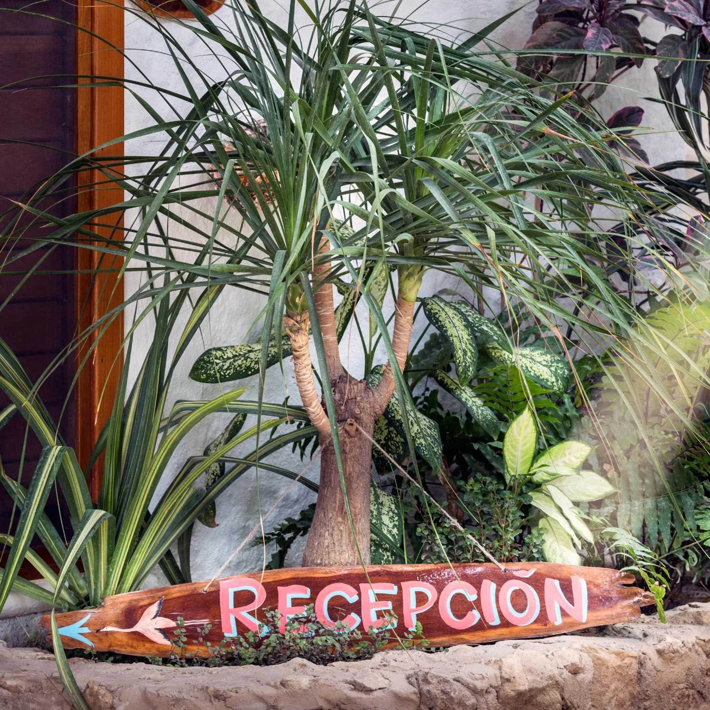 Mawimbi Boutique Hotel