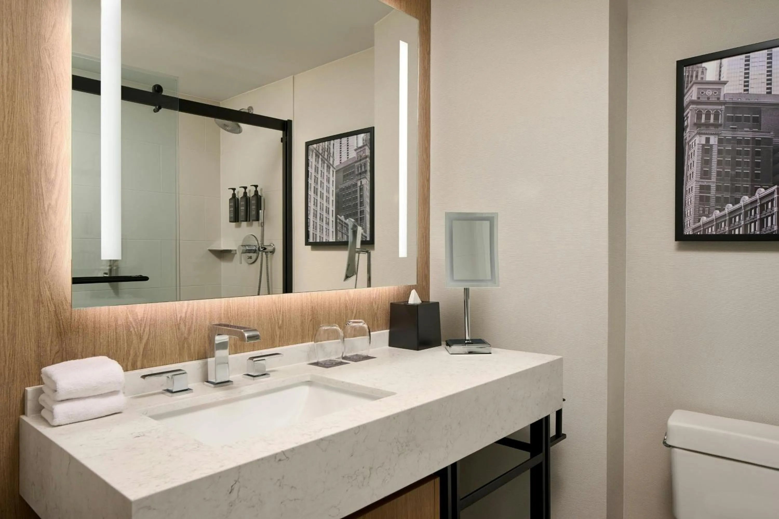 Bathroom in Sheraton Suites Chicago O'Hare