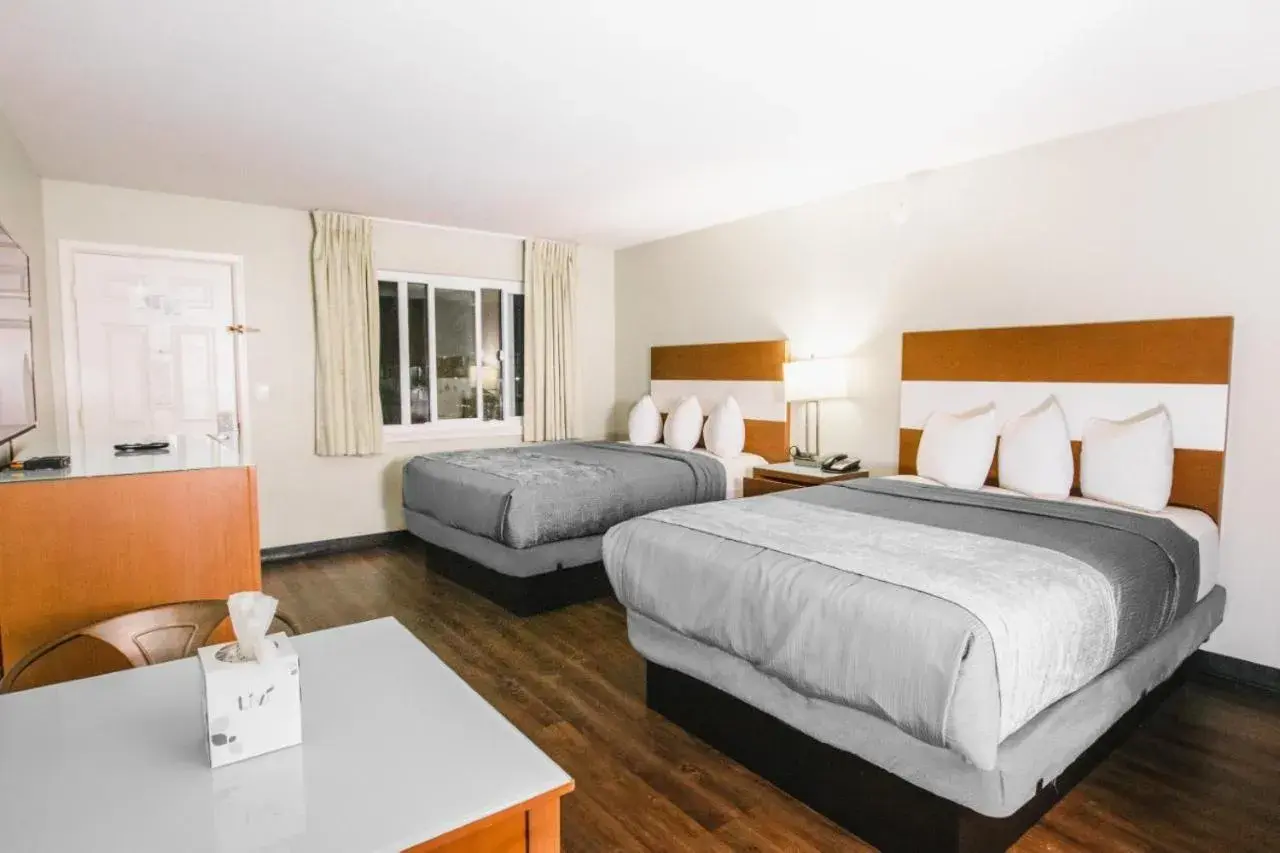 Bed in The Atwood Hotel San Diego - SeaWorld/Zoo Bed in The Atwood Hotel San Diego - SeaWorld/Zoo