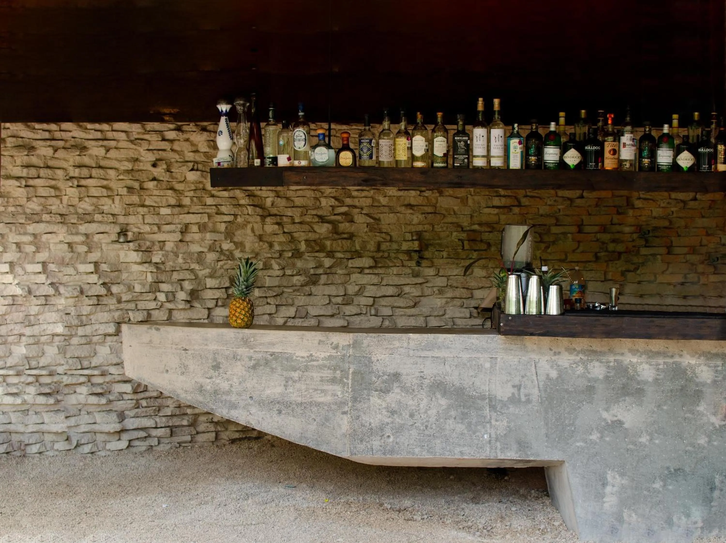 Lounge or bar in Radhoo Tulum