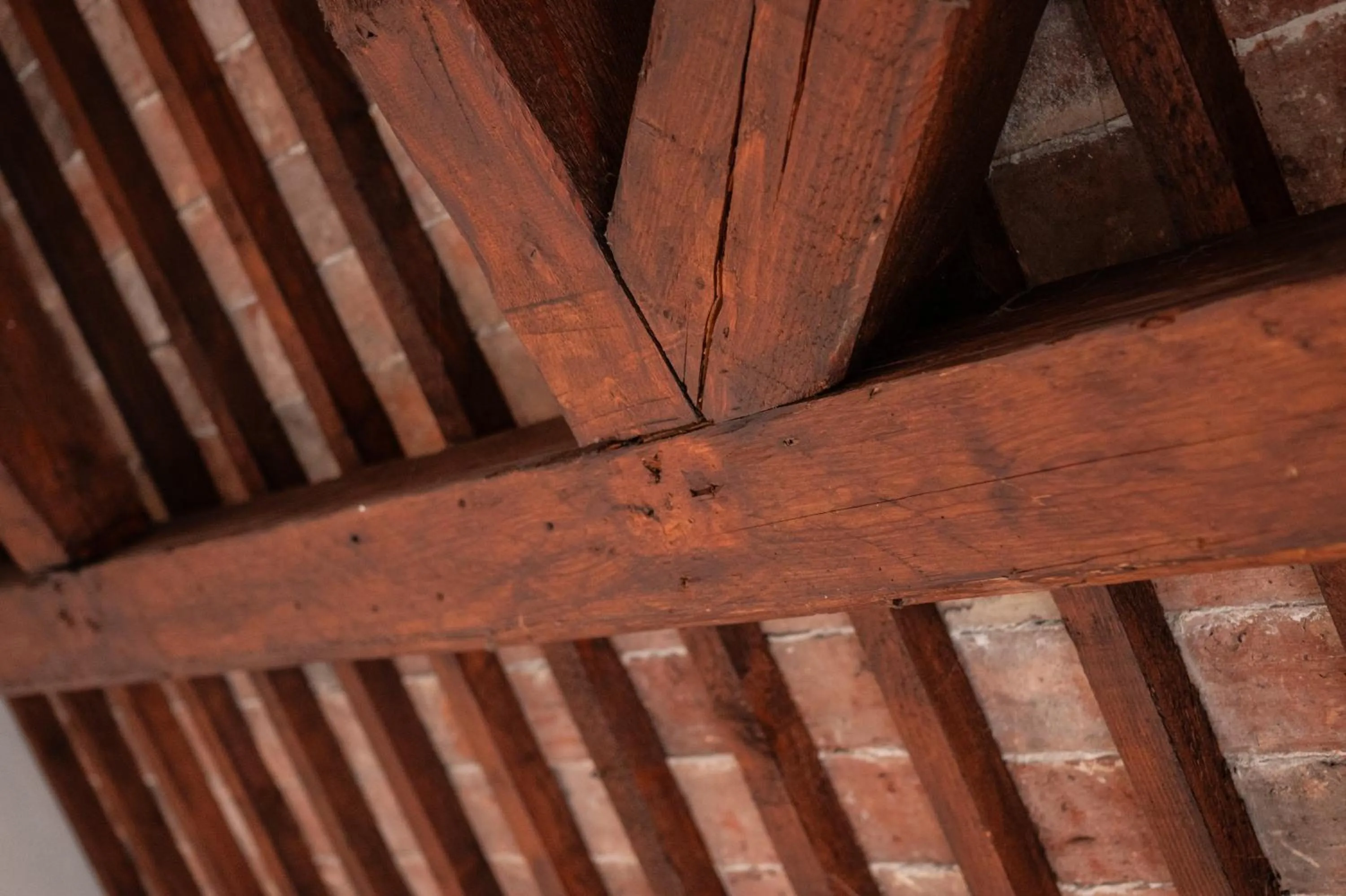 Living room in RESIDENCE BACO Da SETA