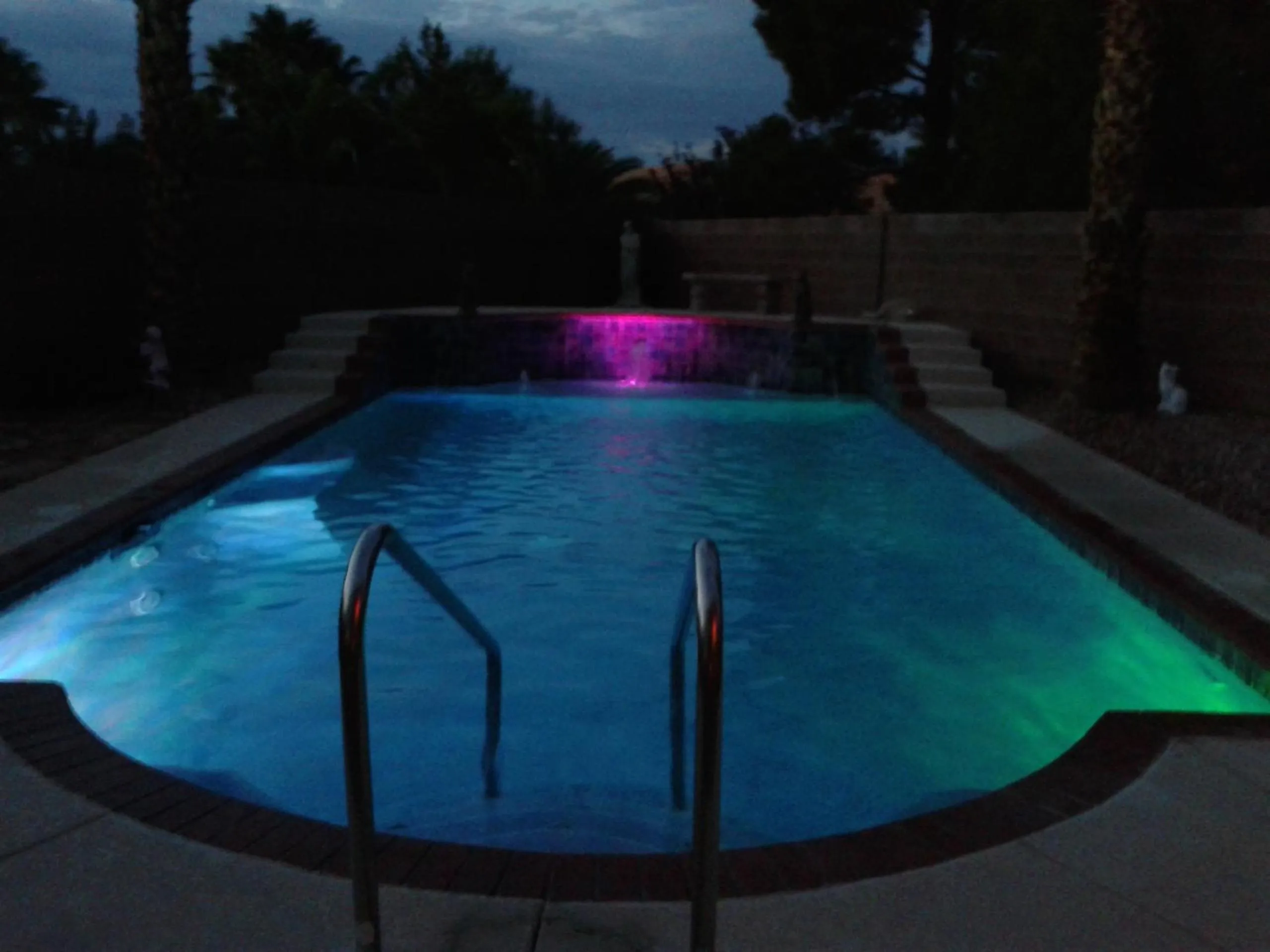 Swimming pool in CATmosphere