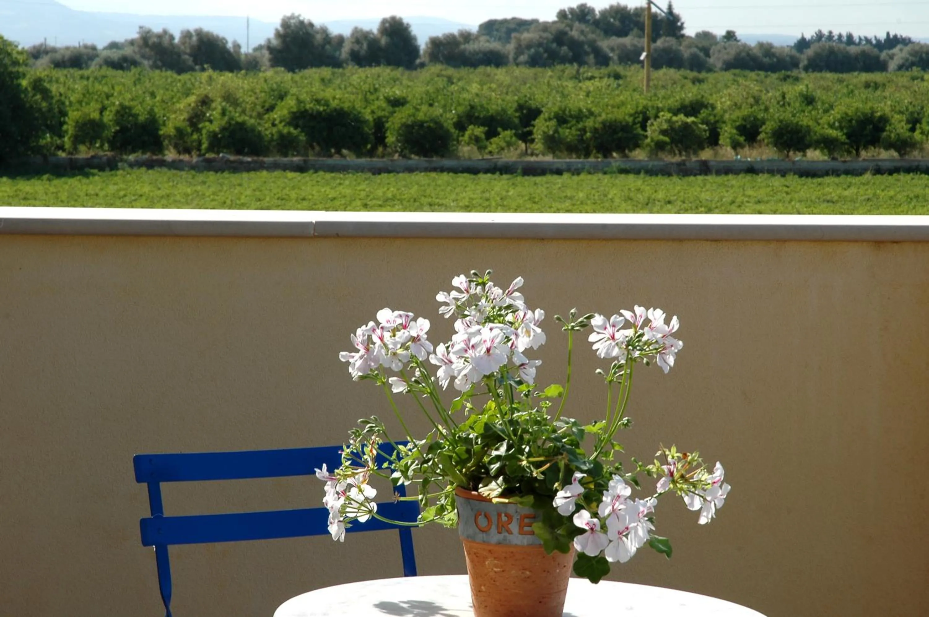 Balcony/Terrace in San Domenico Residence