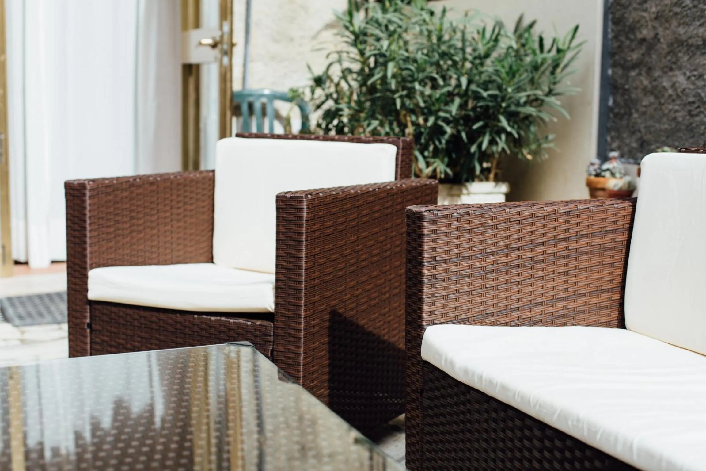 Garden in Hotel Cala Di Forno