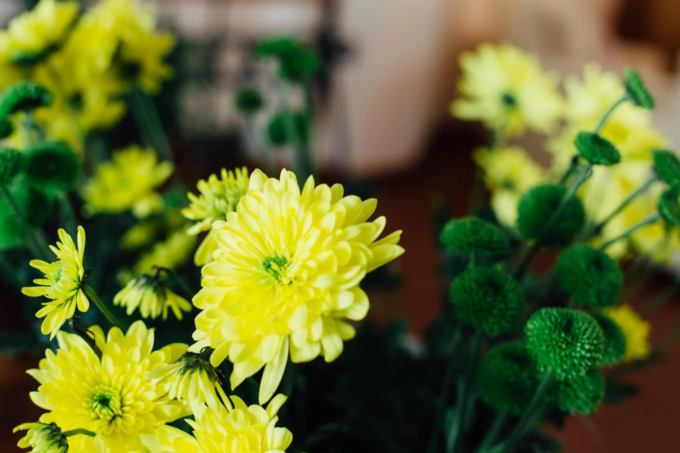 Garden in Hotel Cala Di Forno