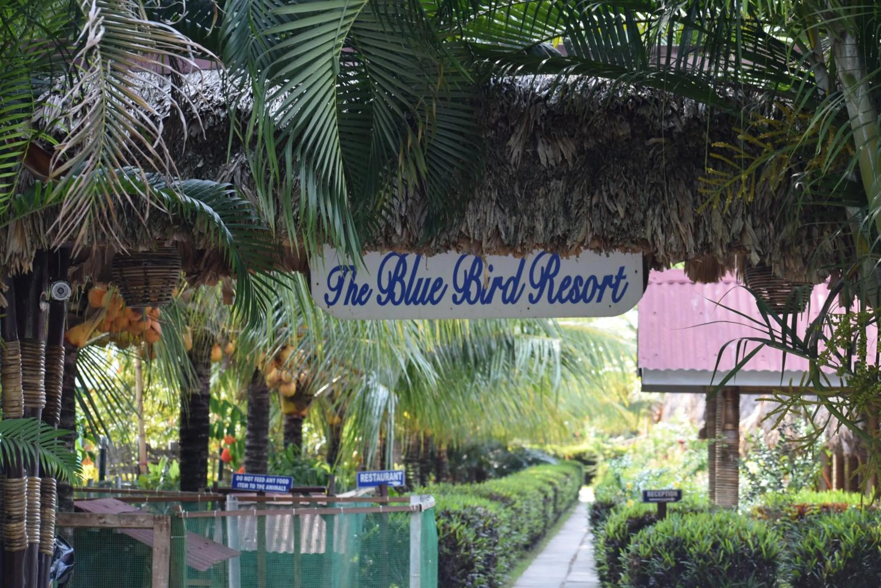 Day in Blue Bird Resort