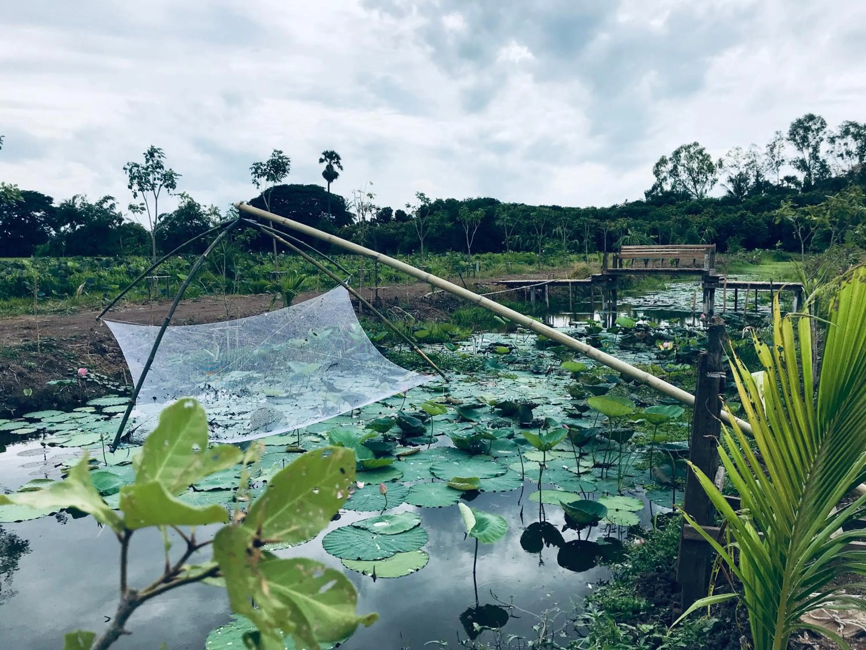 Property building in Parida Resort