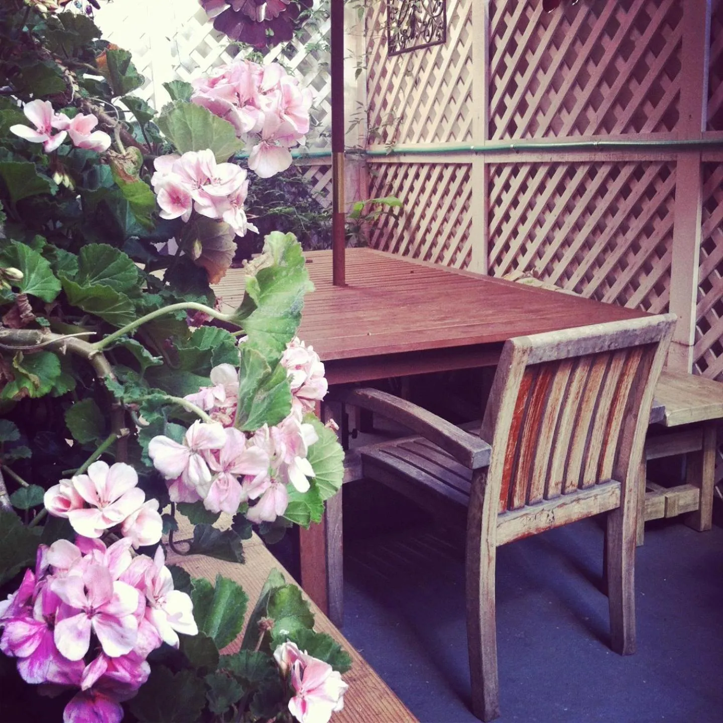 Balcony/Terrace in Adelaide Hostel