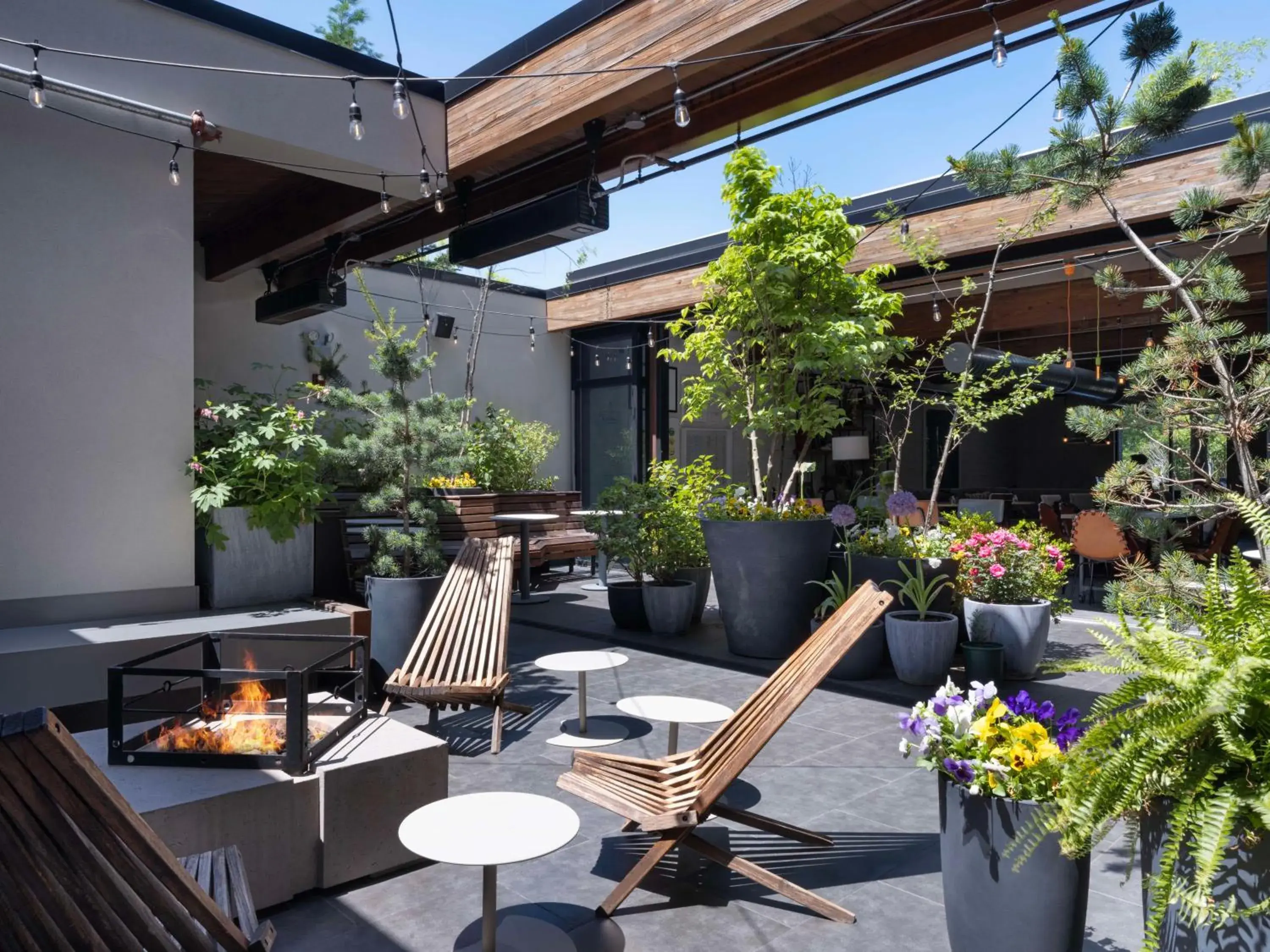 Inner courtyard view in Freepoint Hotel Cambridge, Tapestry Collection by Hilton Inner courtyard view in Freepoint Hotel Cambridge, Tapestry Collection by Hilton
