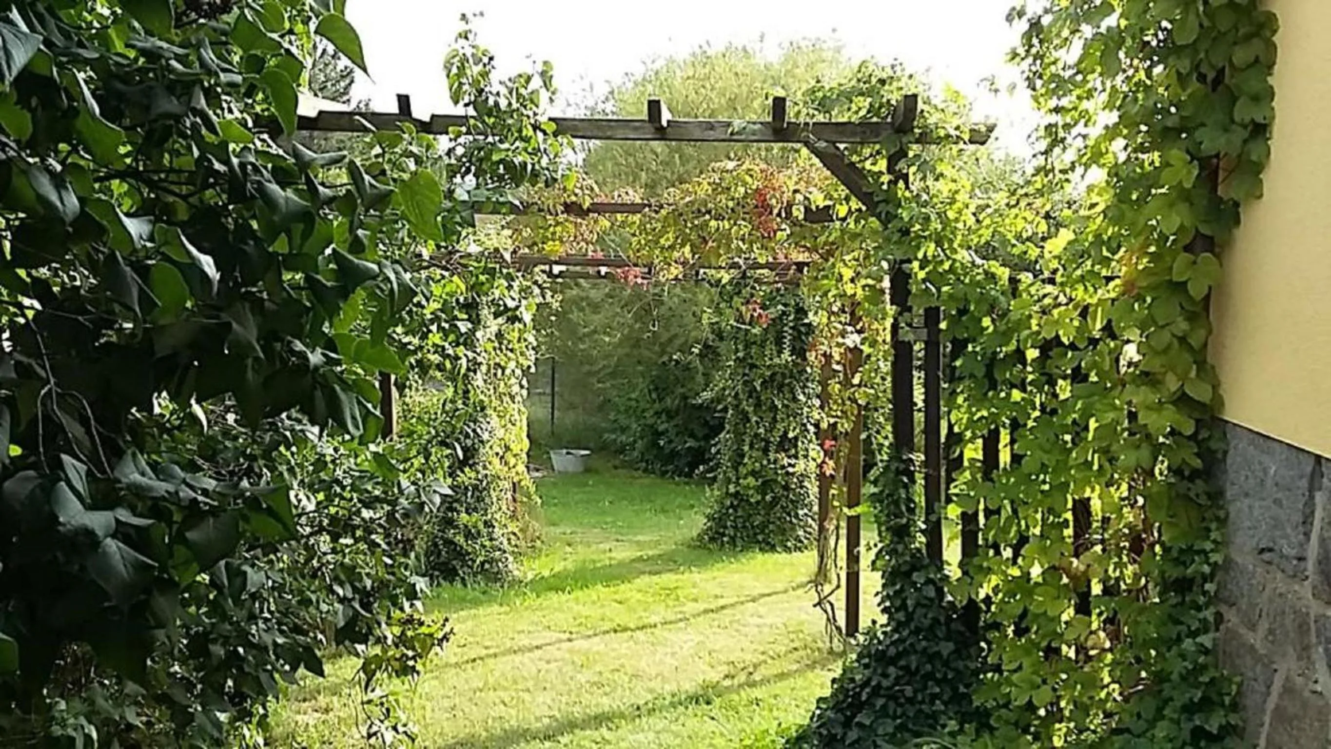 Garden in Genesungsort Landhaus Dammert