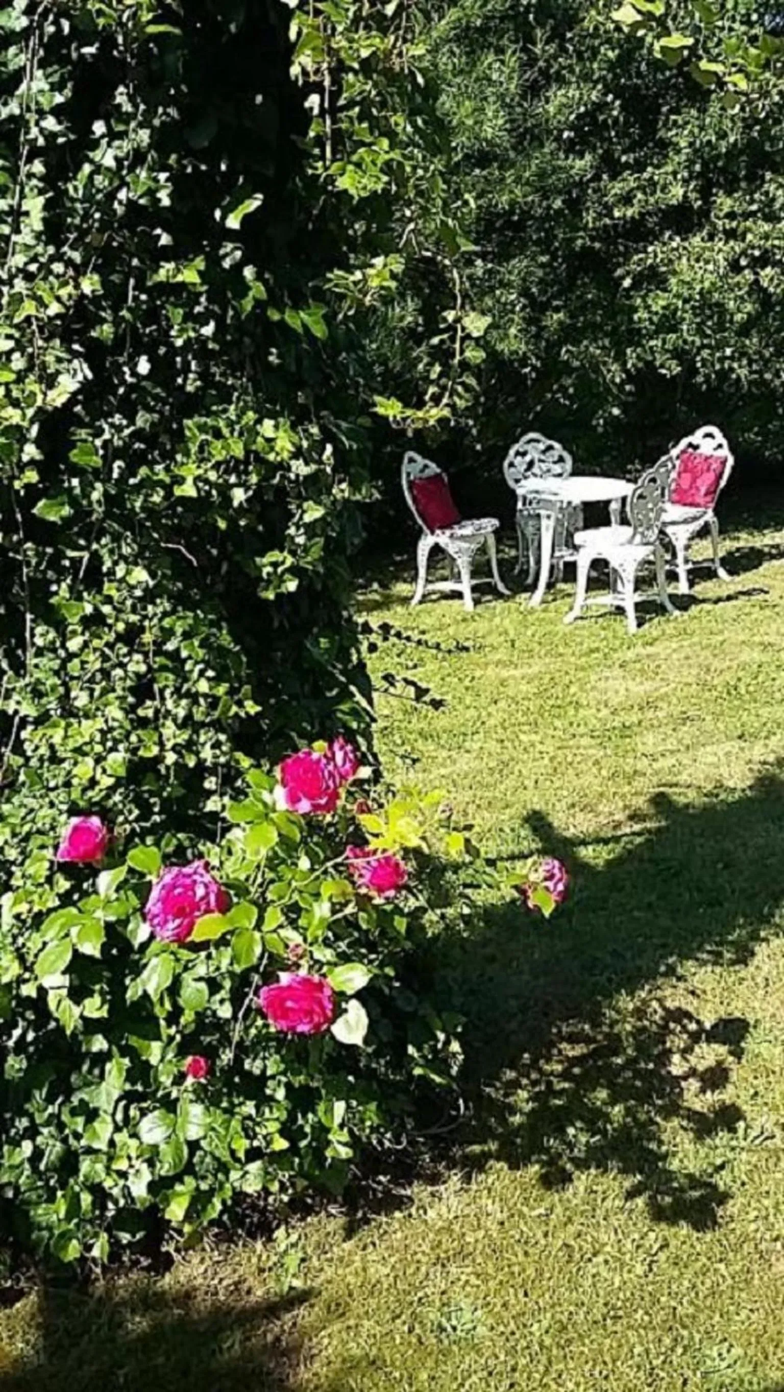 Garden in Genesungsort Landhaus Dammert