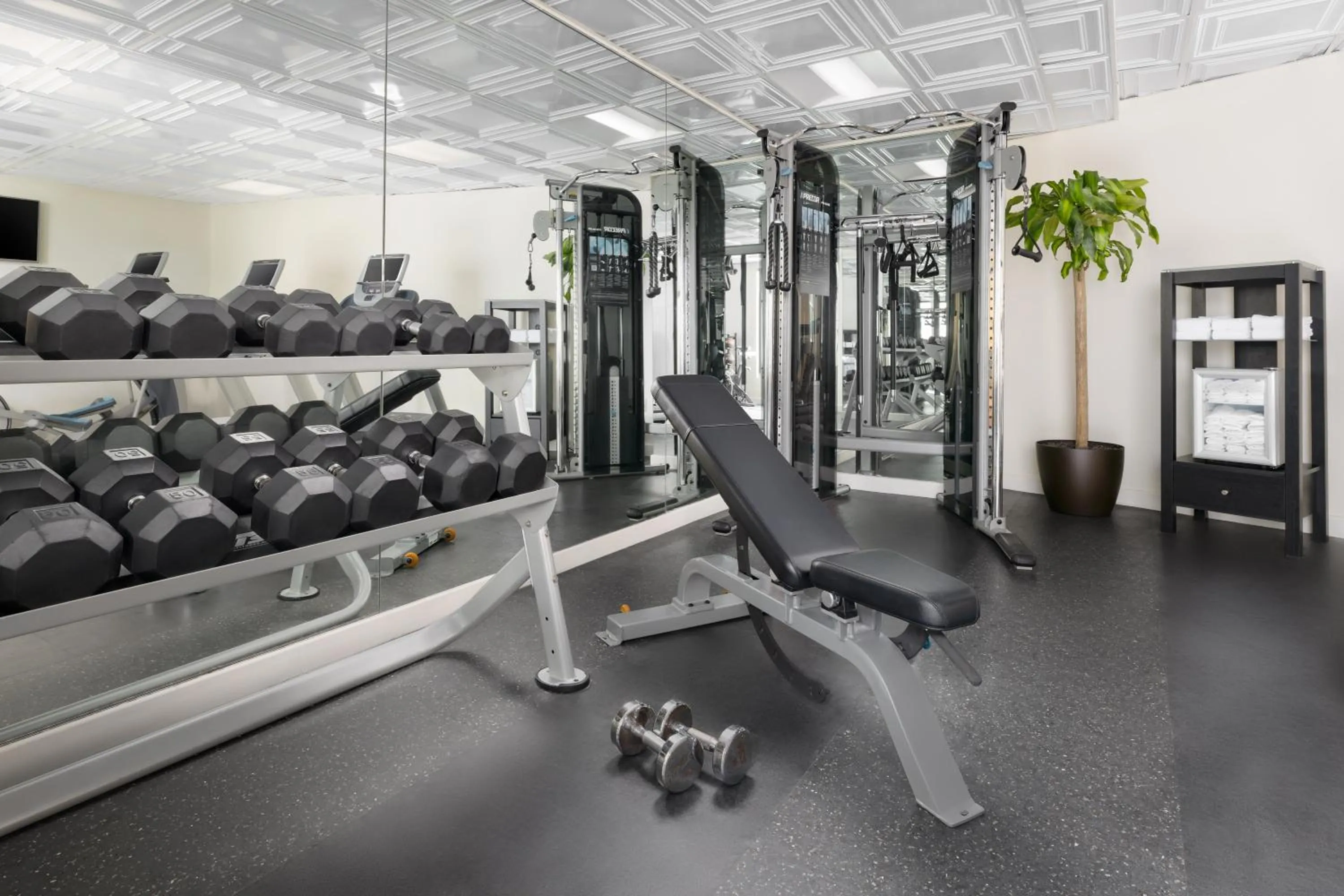 Fitness centre/facilities in Riverfront Hotel New Orleans