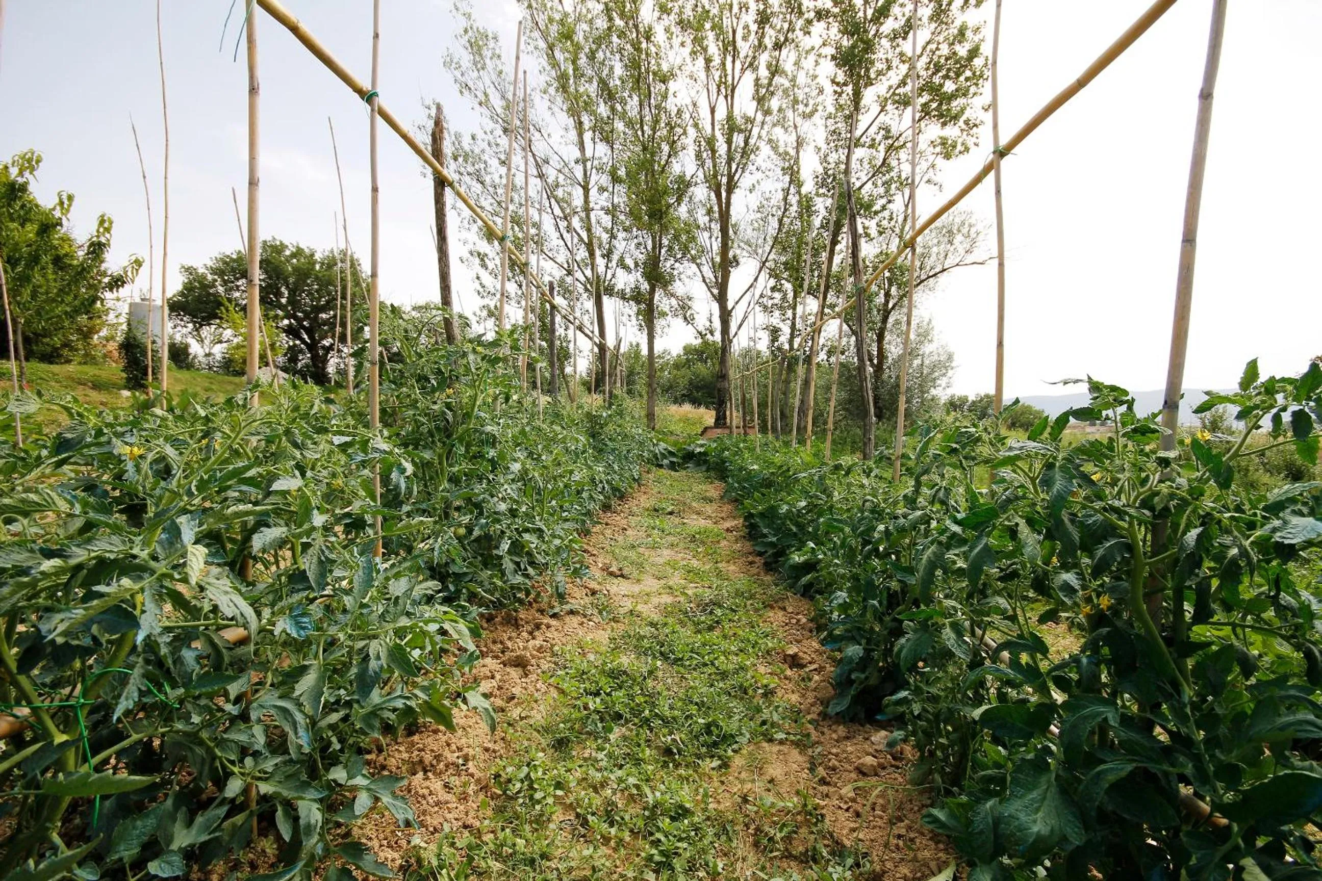 Natural landscape in Tenuta La Santissima