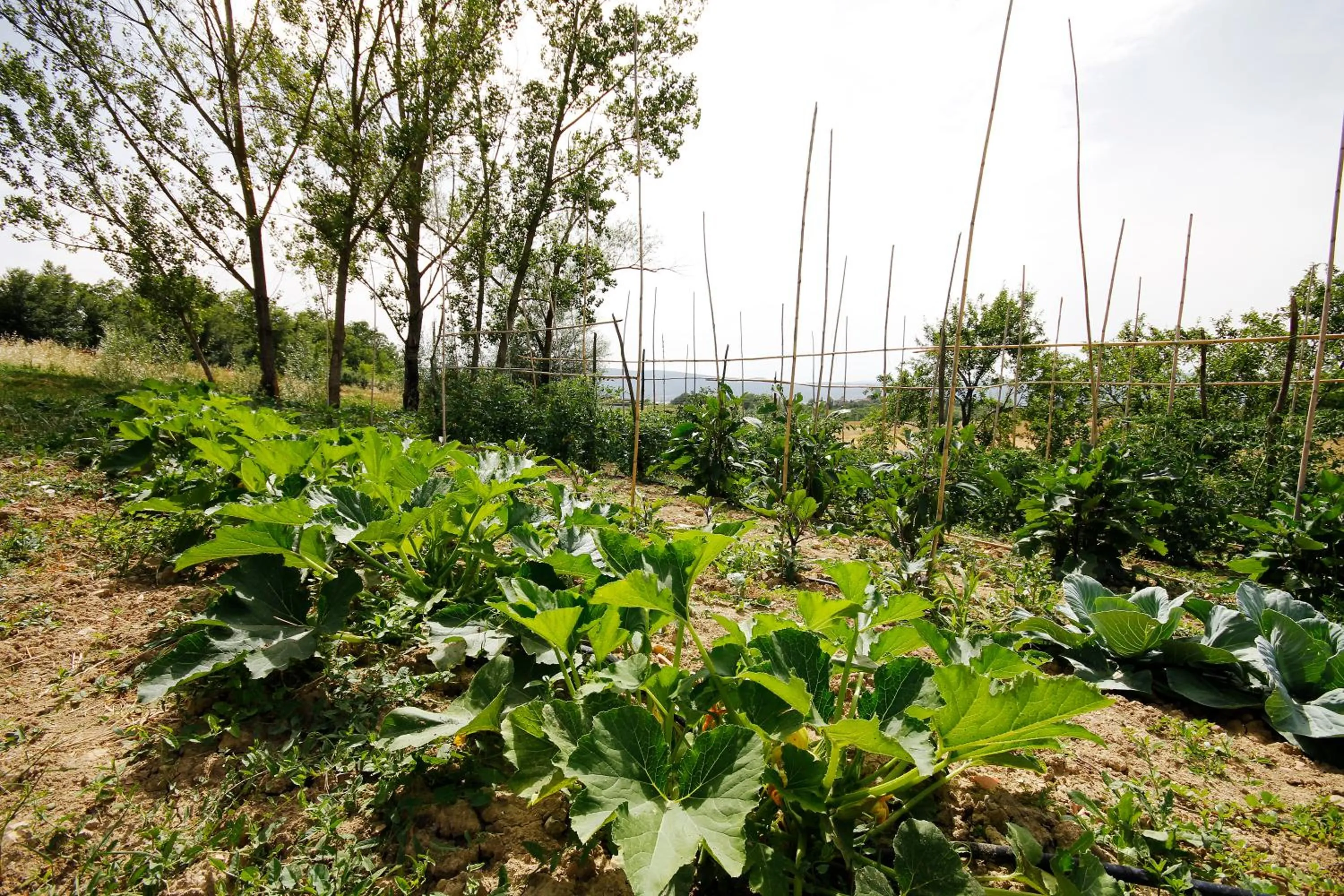 Natural landscape in Tenuta La Santissima