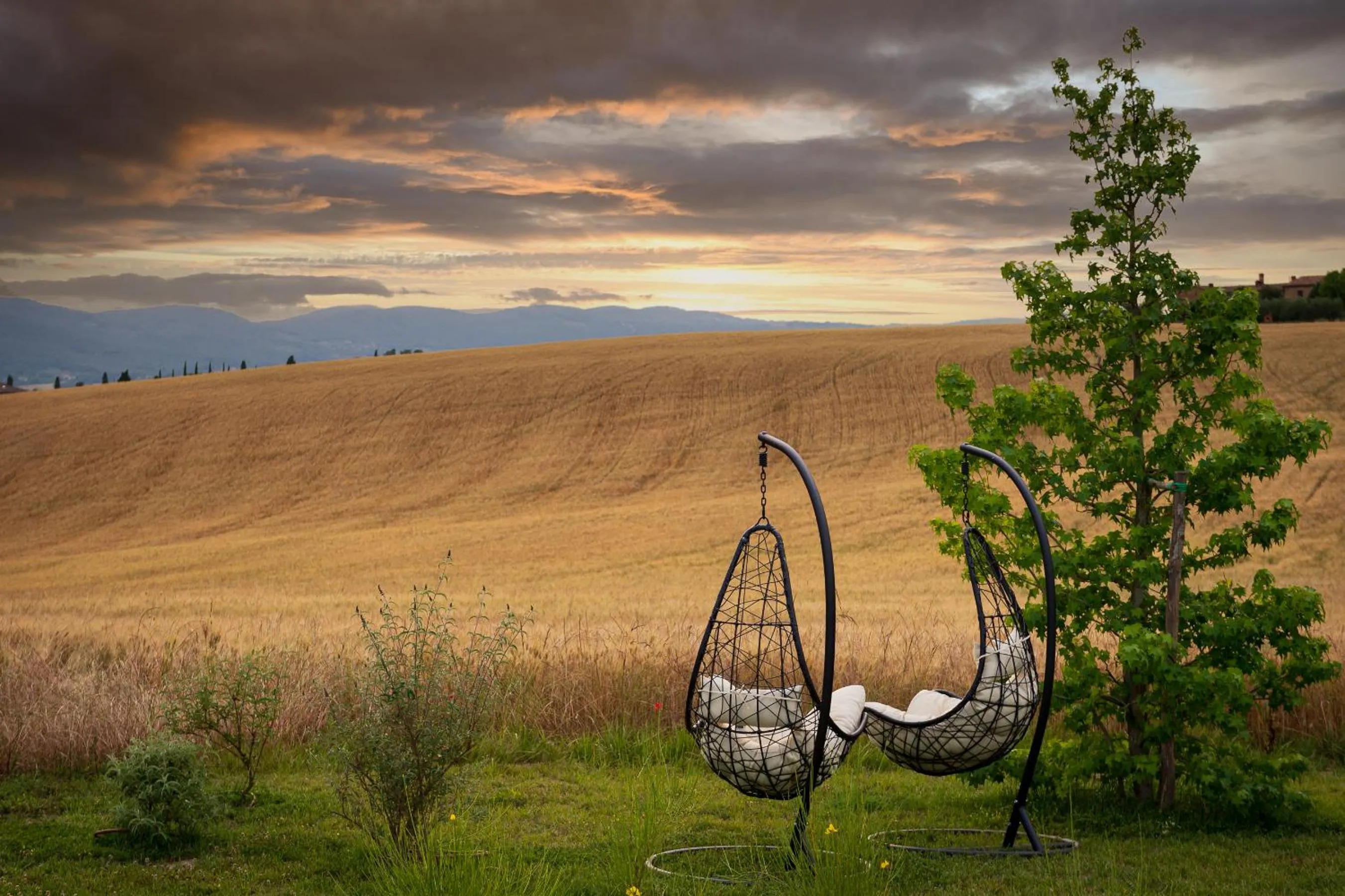 Garden view in Tenuta La Santissima