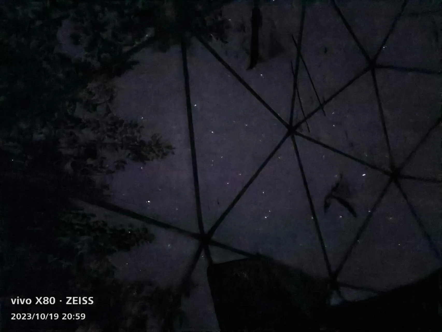 Night in English Cherry Tree Manor