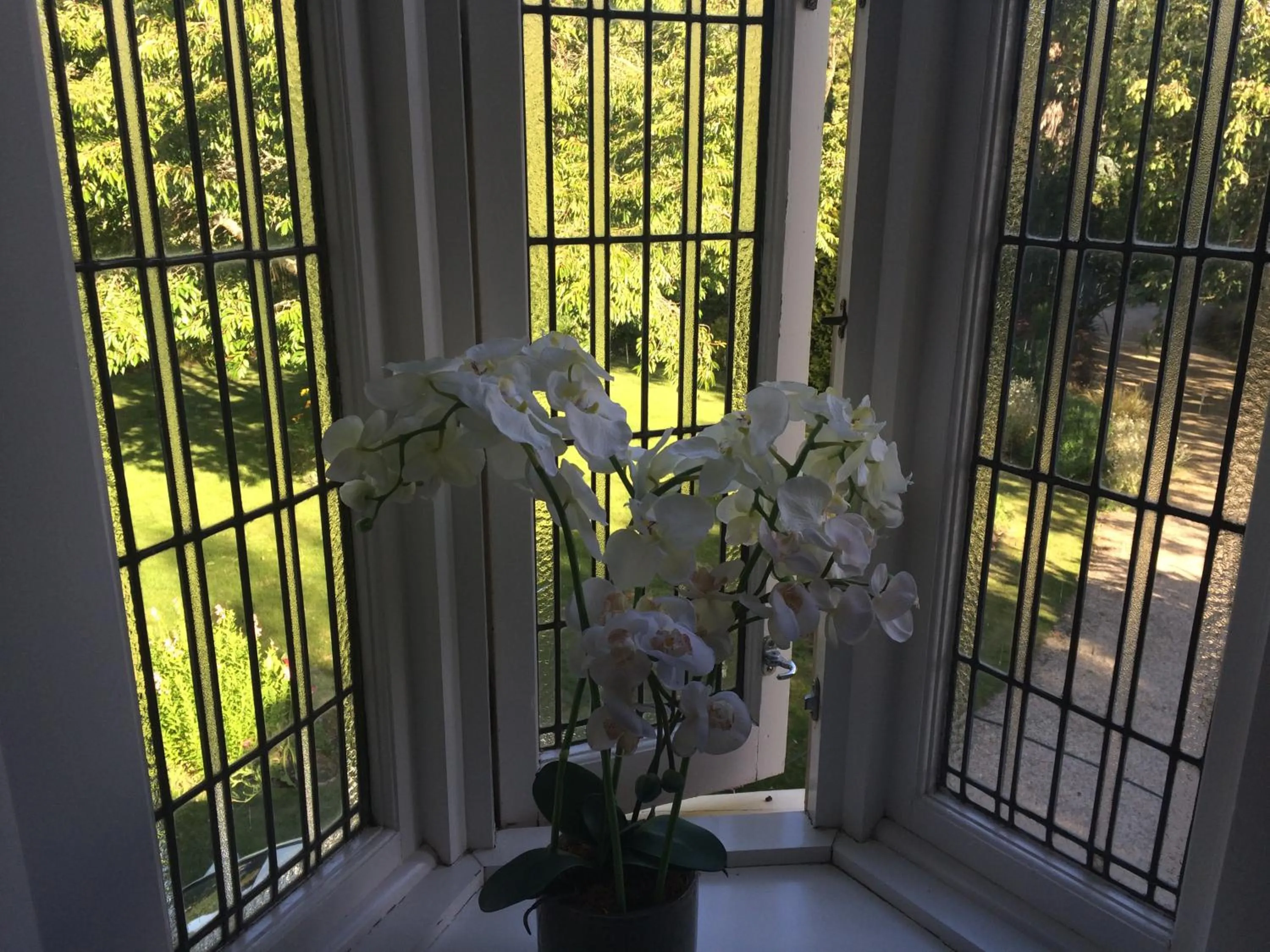 Garden view in English Cherry Tree Manor