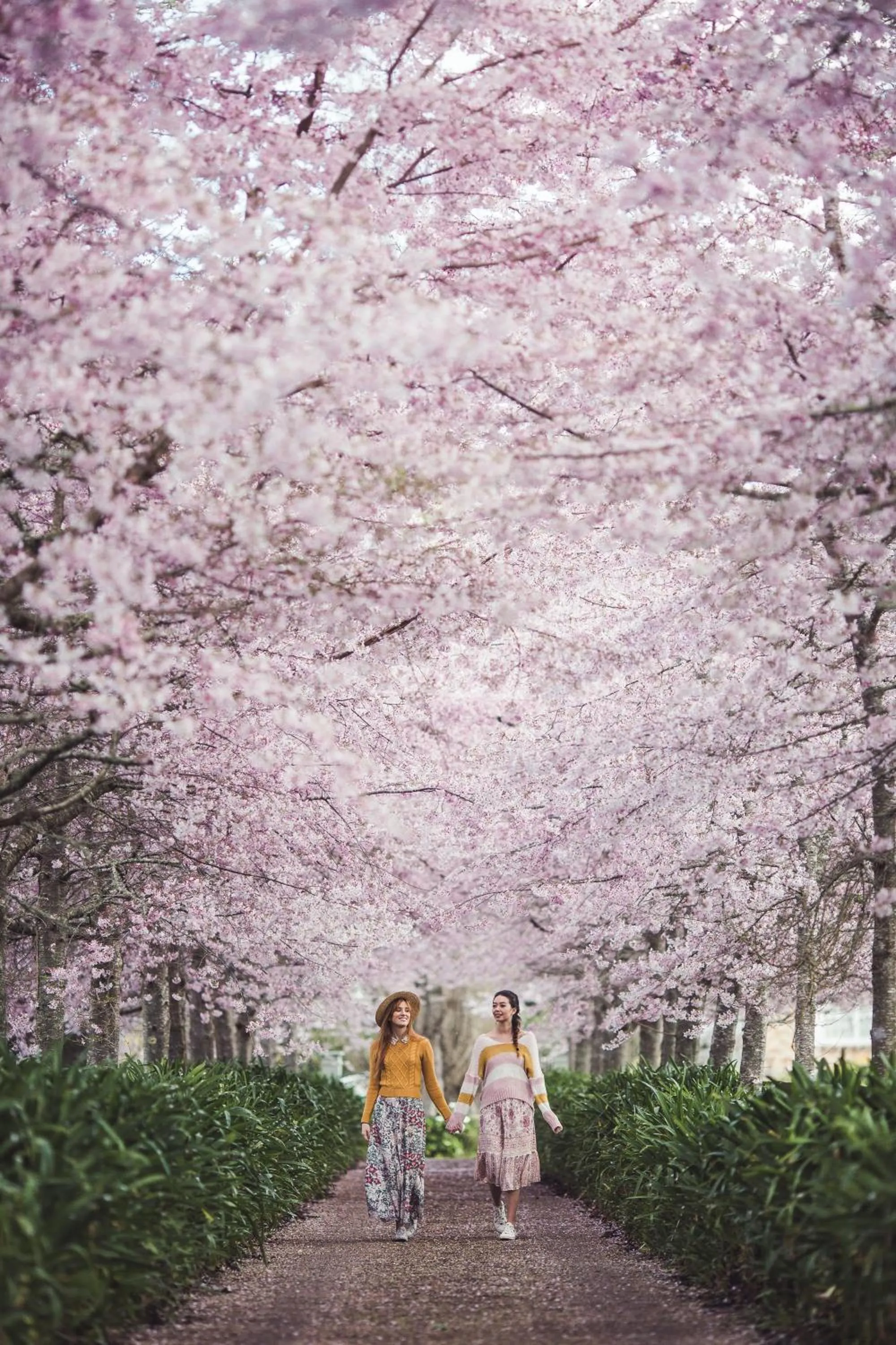 Spring in English Cherry Tree Manor