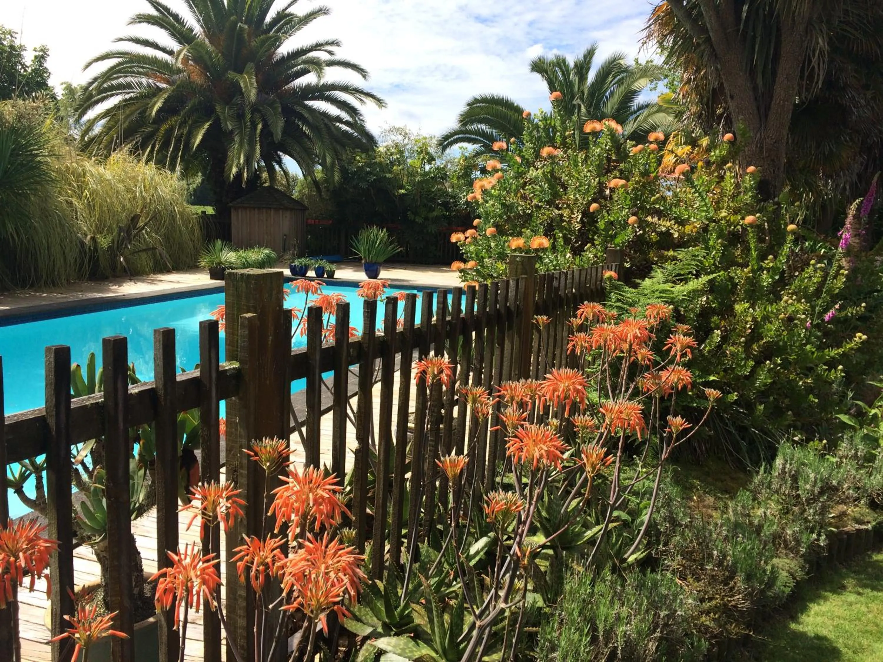 Garden in English Cherry Tree Manor