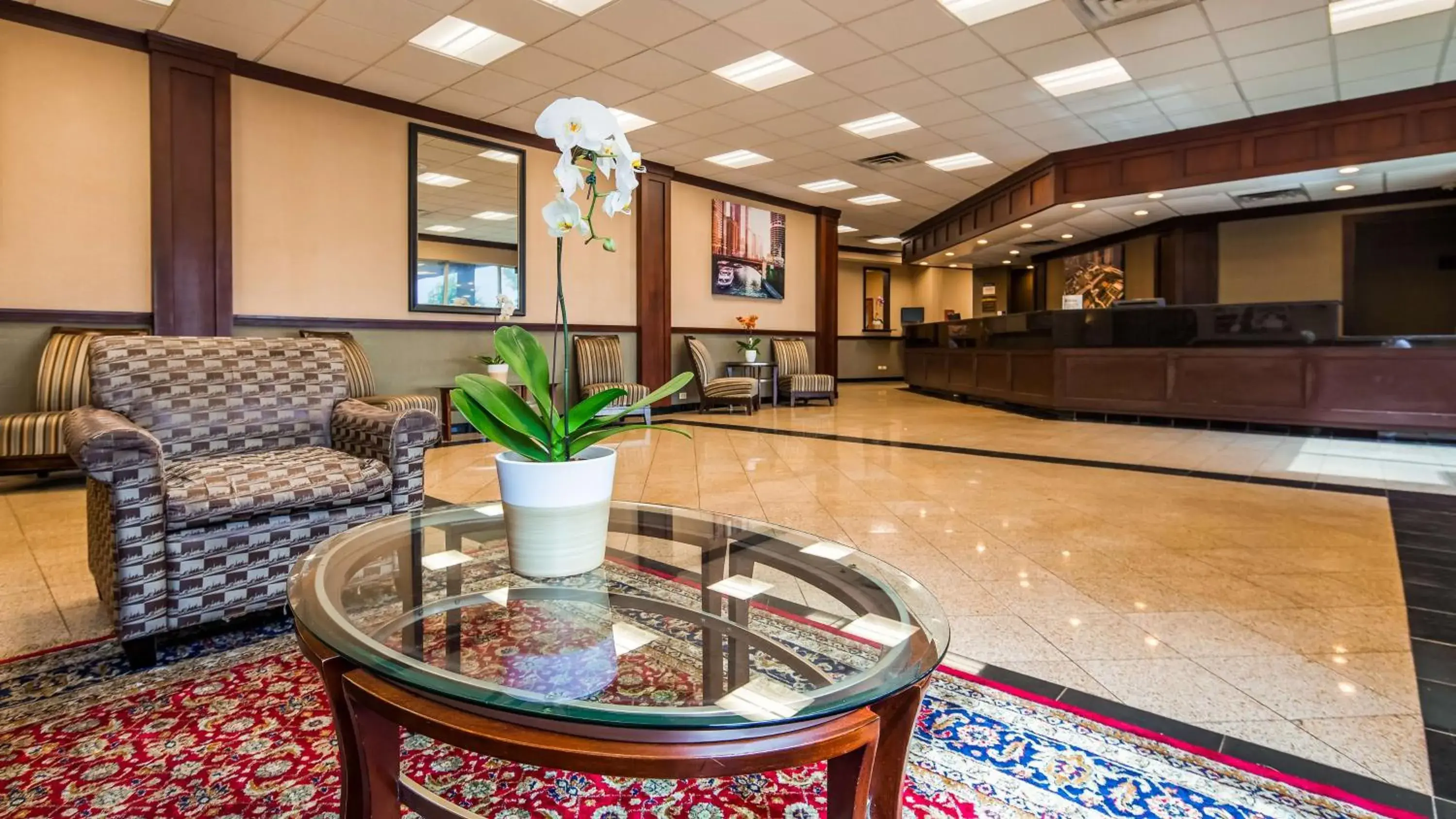 Lobby or reception in Best Western Plus Chicago Hillside Lobby or reception in Best Western Plus Chicago Hillside