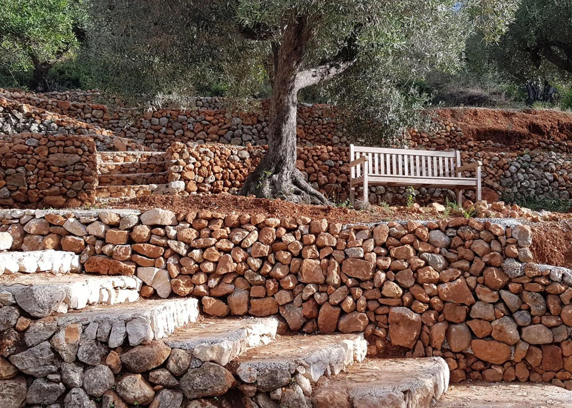 Garden in Villa Foia Vella - adults only