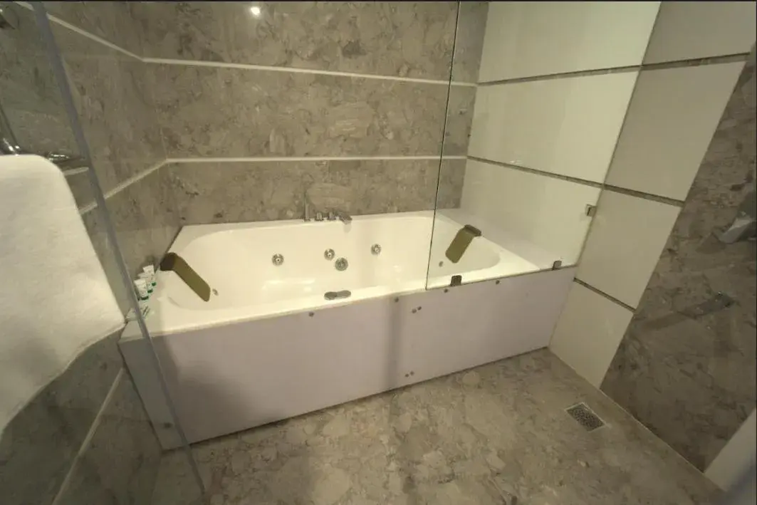 Executive Suite - single occupancy in Hotel JSR Continental Executive Suite - single occupancy in Hotel JSR Continental