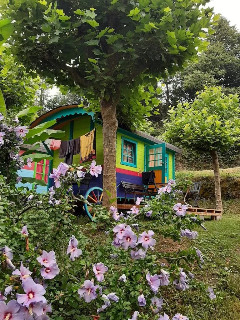 Property building in Petit Château