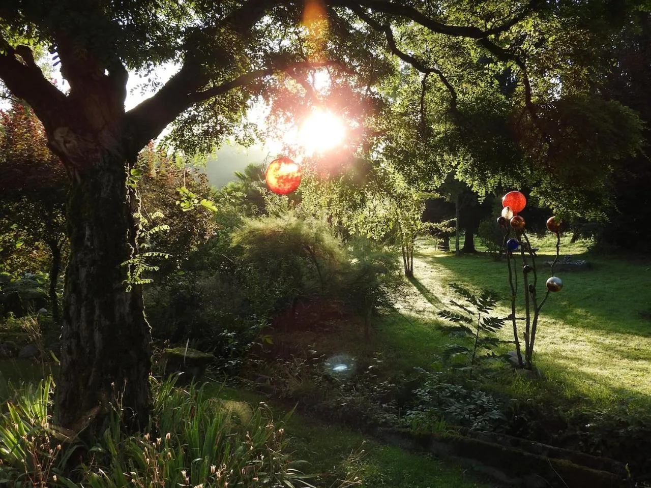 Garden in Petit Château
