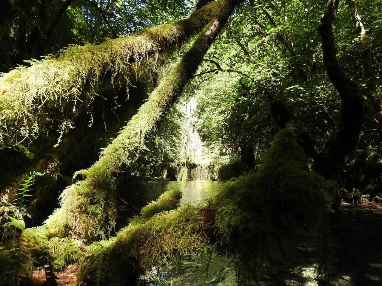 Nearby landmark in Petit Château