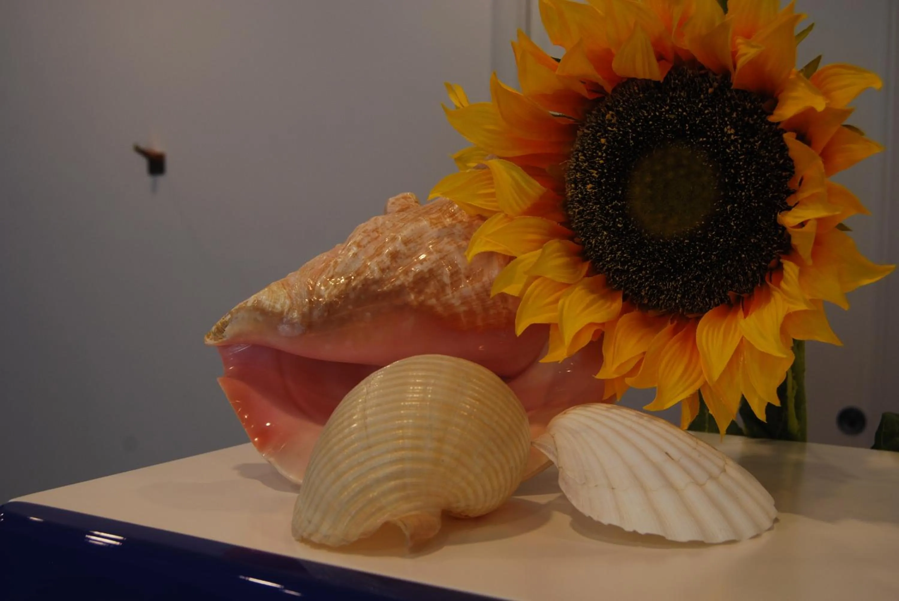 Decorative detail in Residence Abruzzo Resort