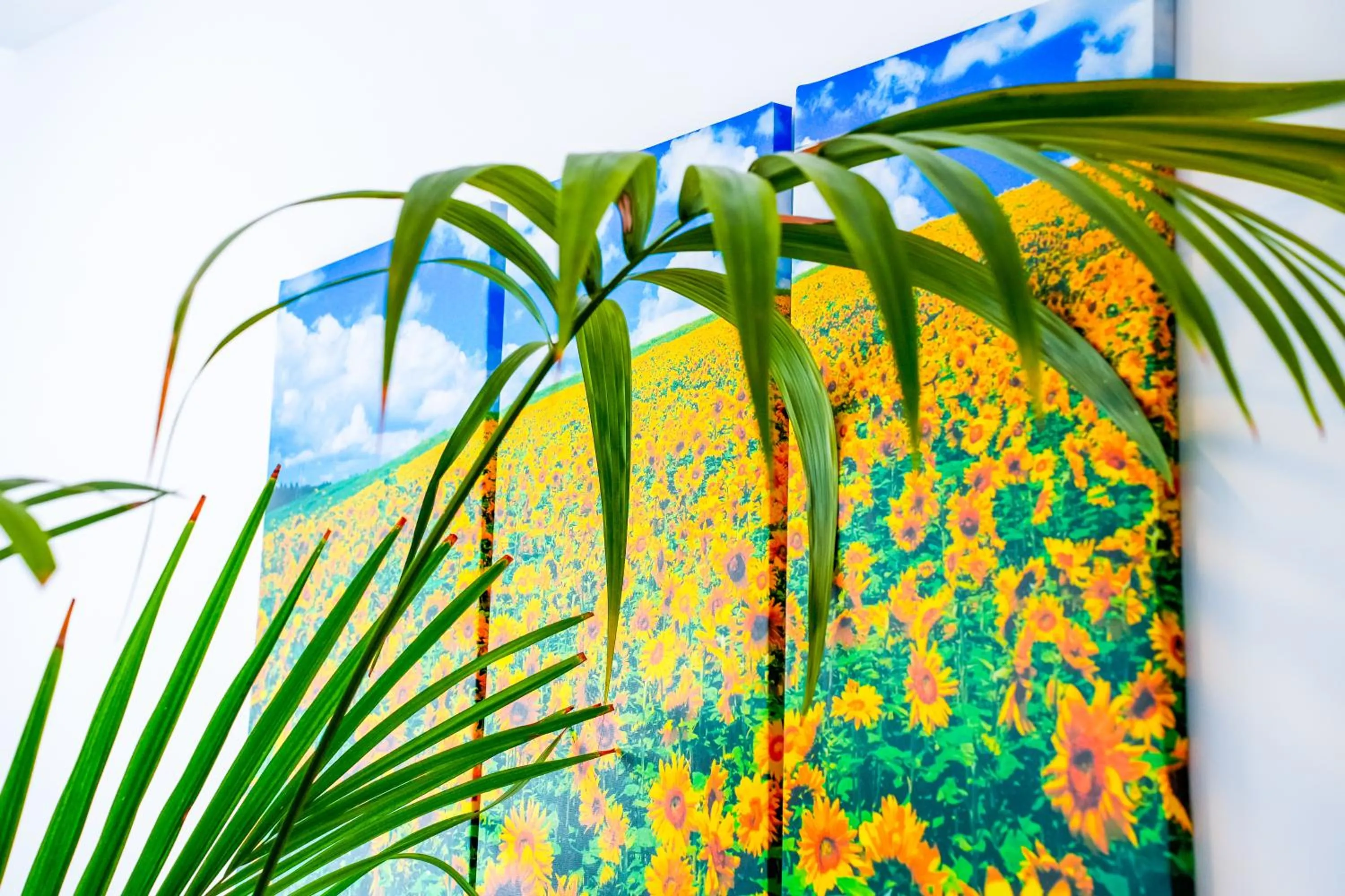 Decorative detail in Residence Abruzzo Resort