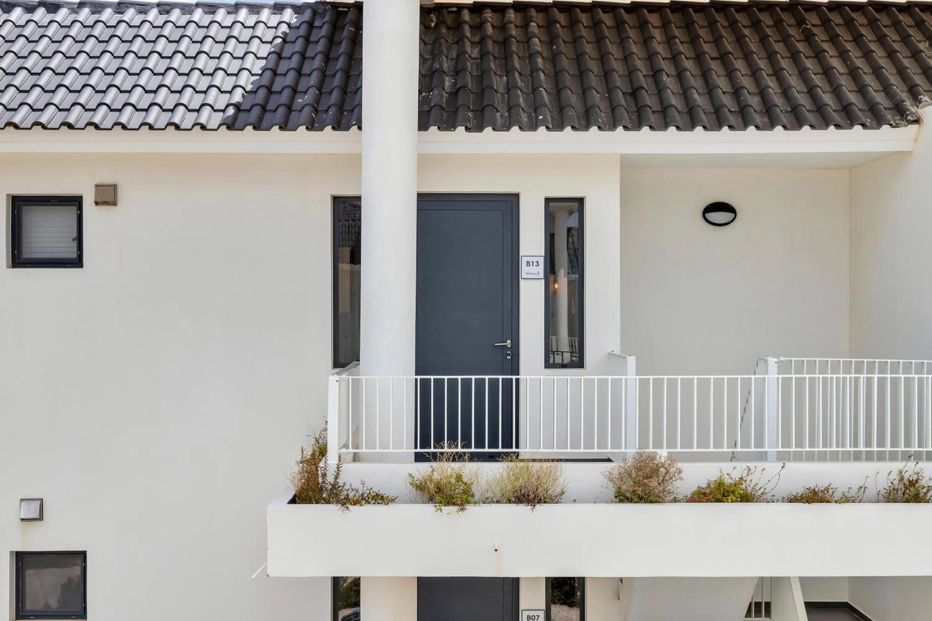 Grand Windsock Bonaire