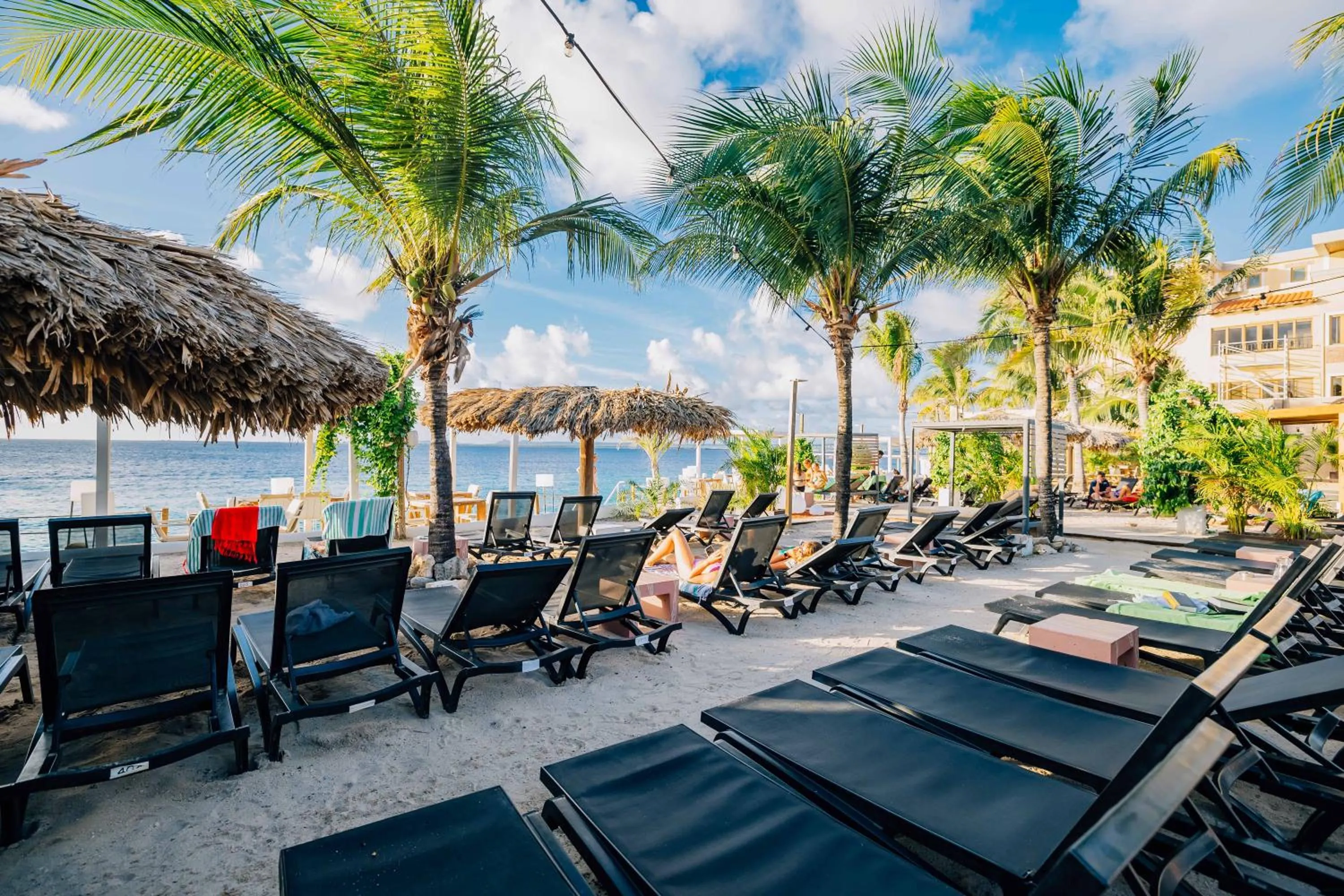 Grand Windsock Bonaire