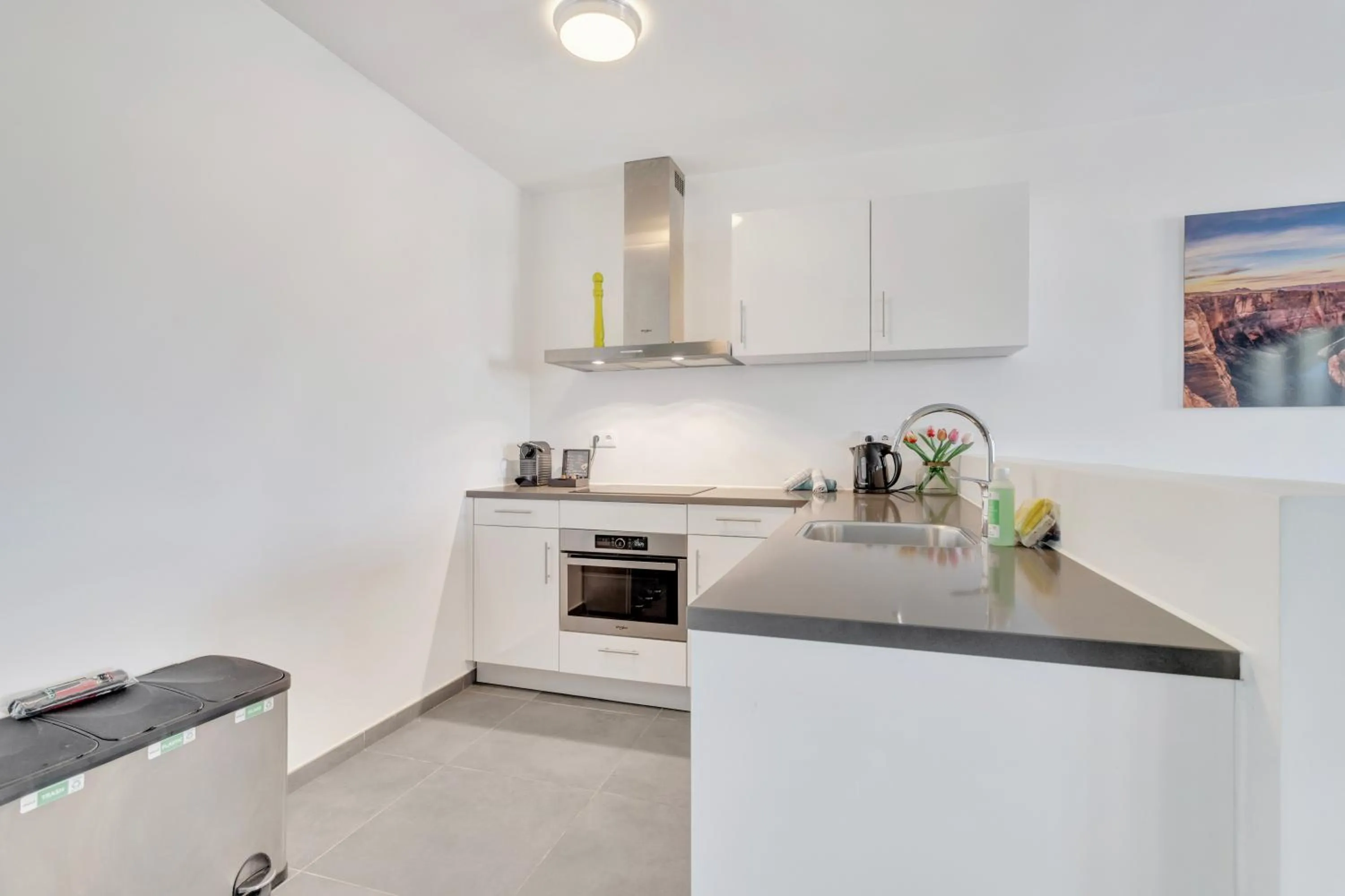 Grand Windsock Bonaire