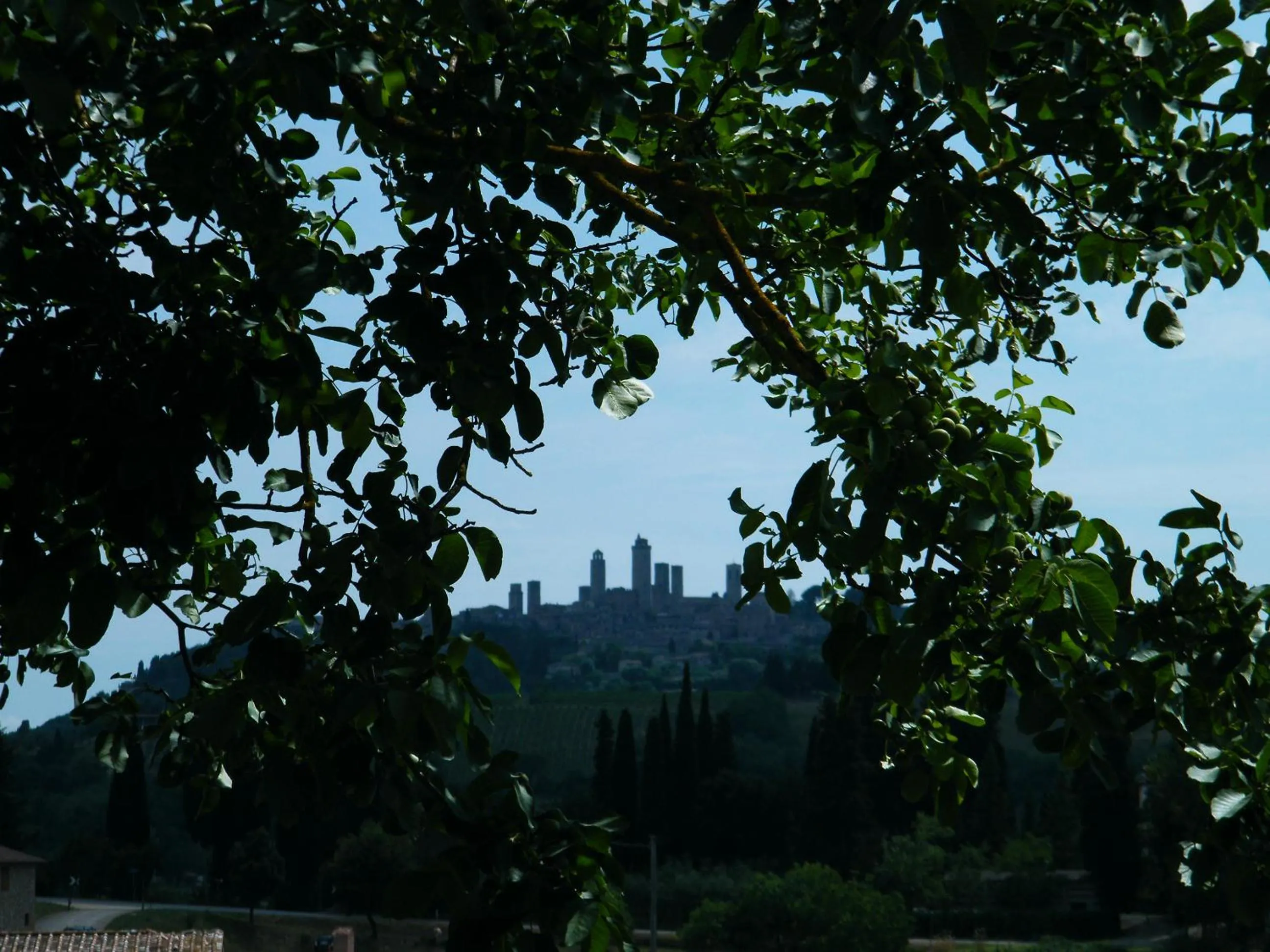 Natural landscape in Agriturismo Montegonfoli