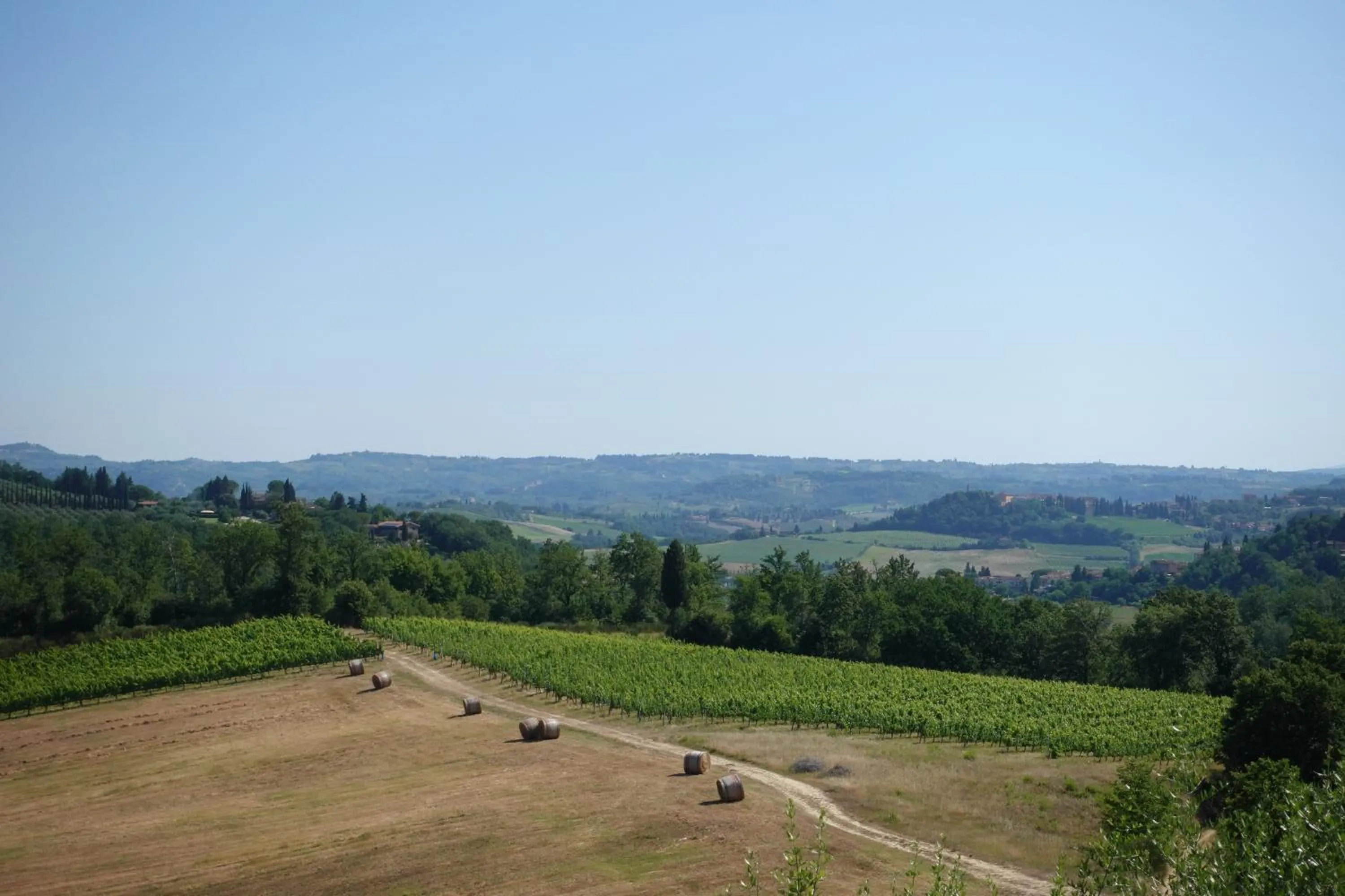 View (from property/room) in Agriturismo Montegonfoli