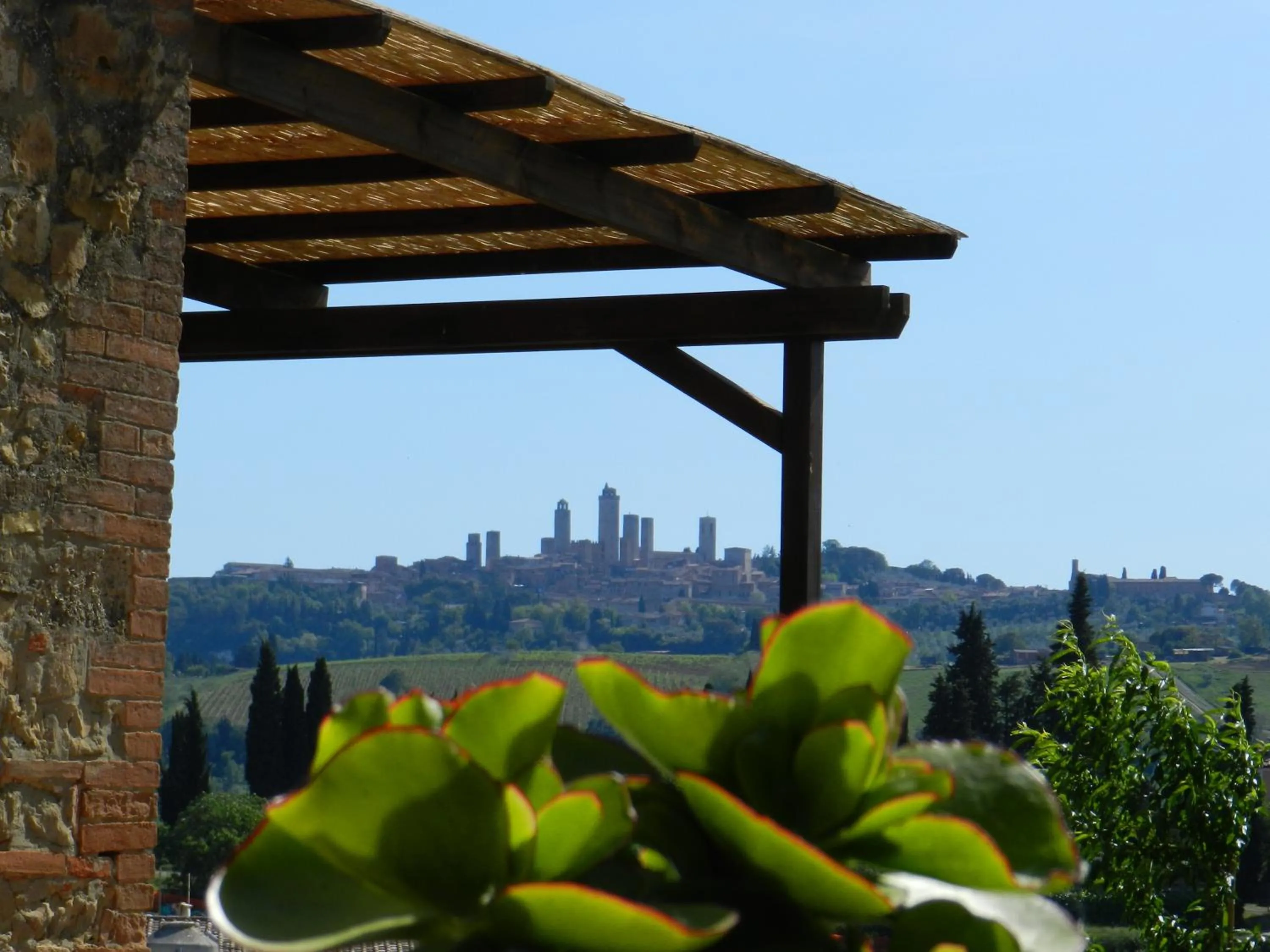 Lounge or bar in Agriturismo Montegonfoli