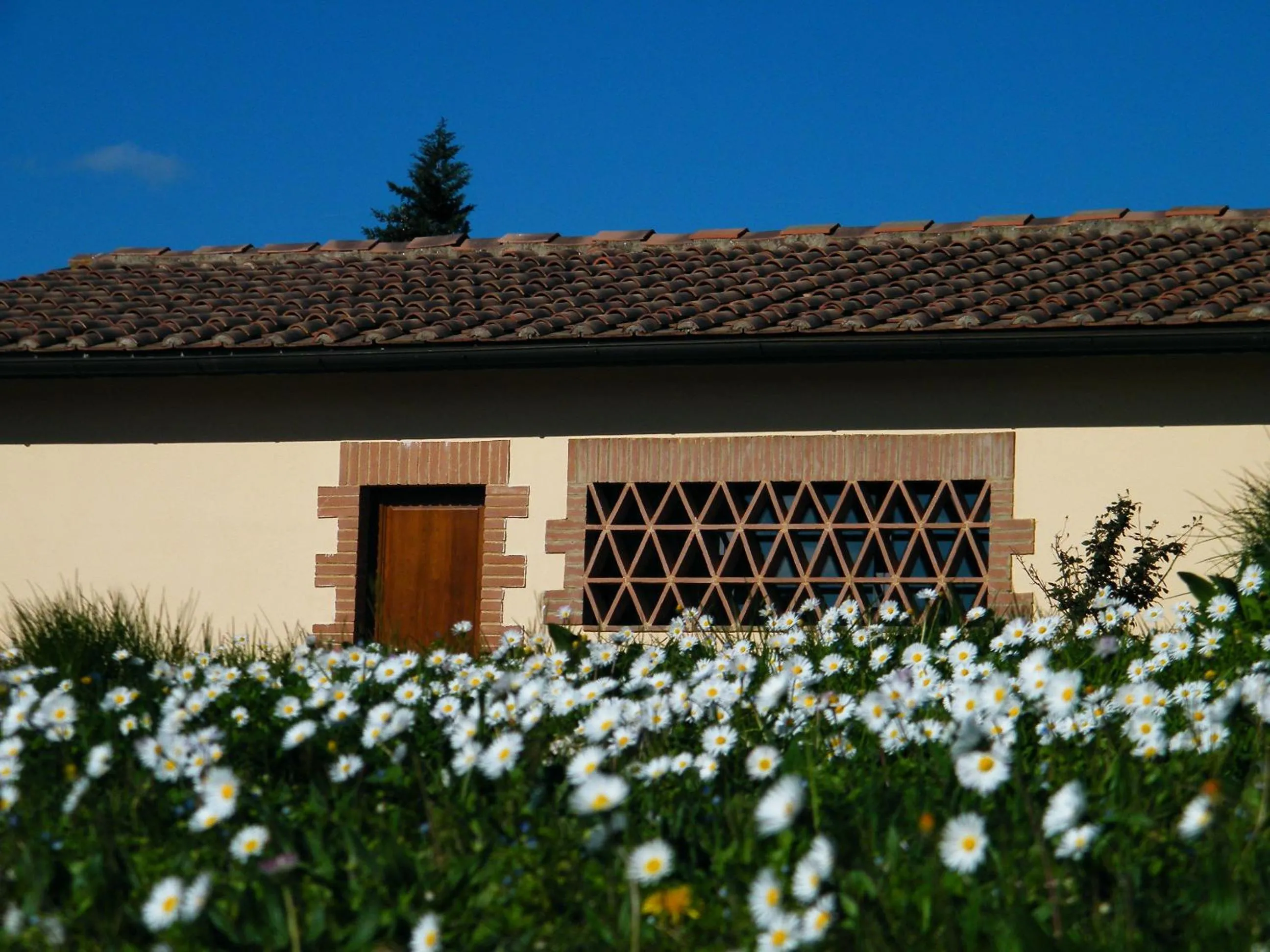 Garden in Agriturismo Montegonfoli