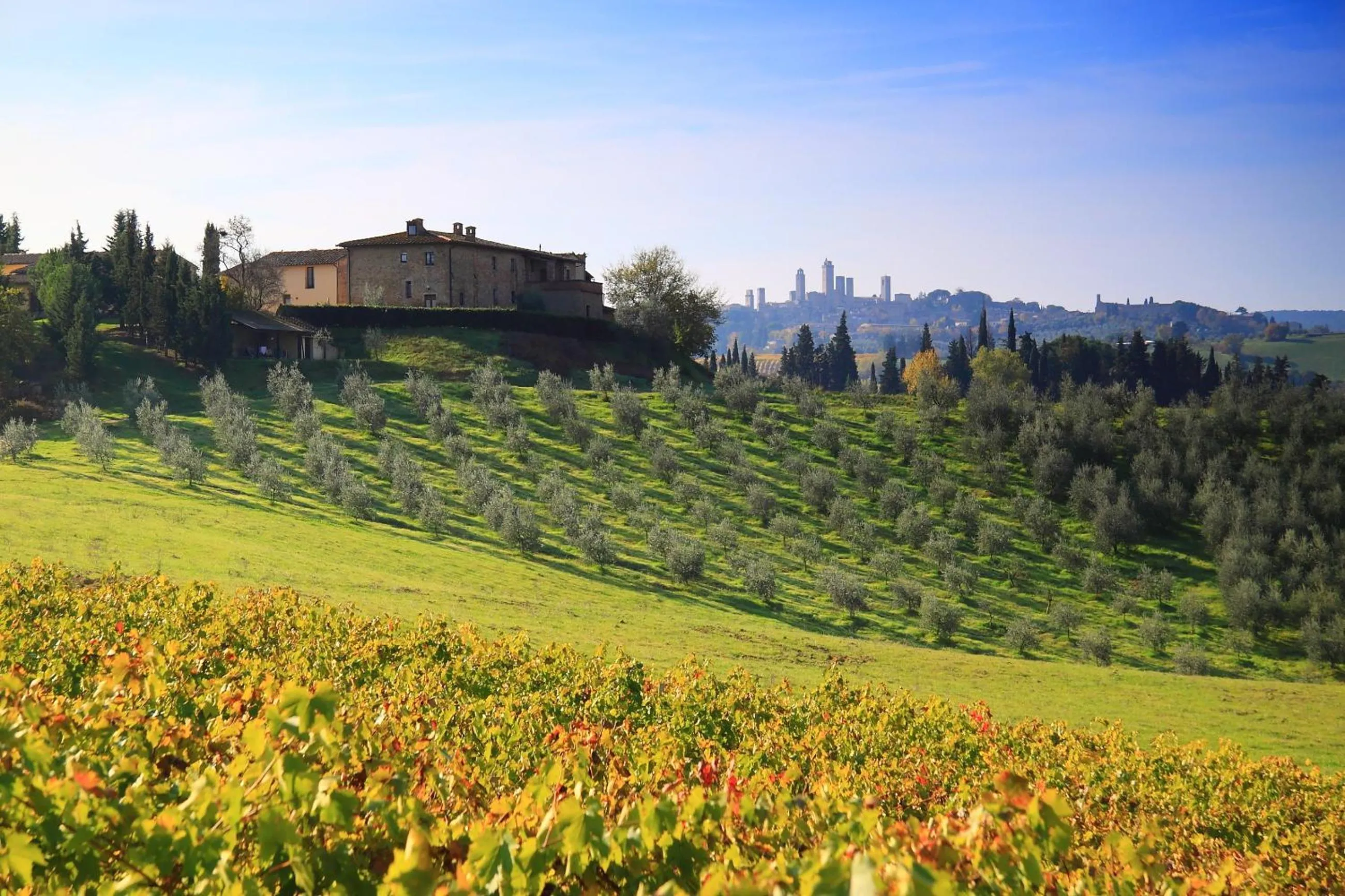 Property building in Agriturismo Montegonfoli