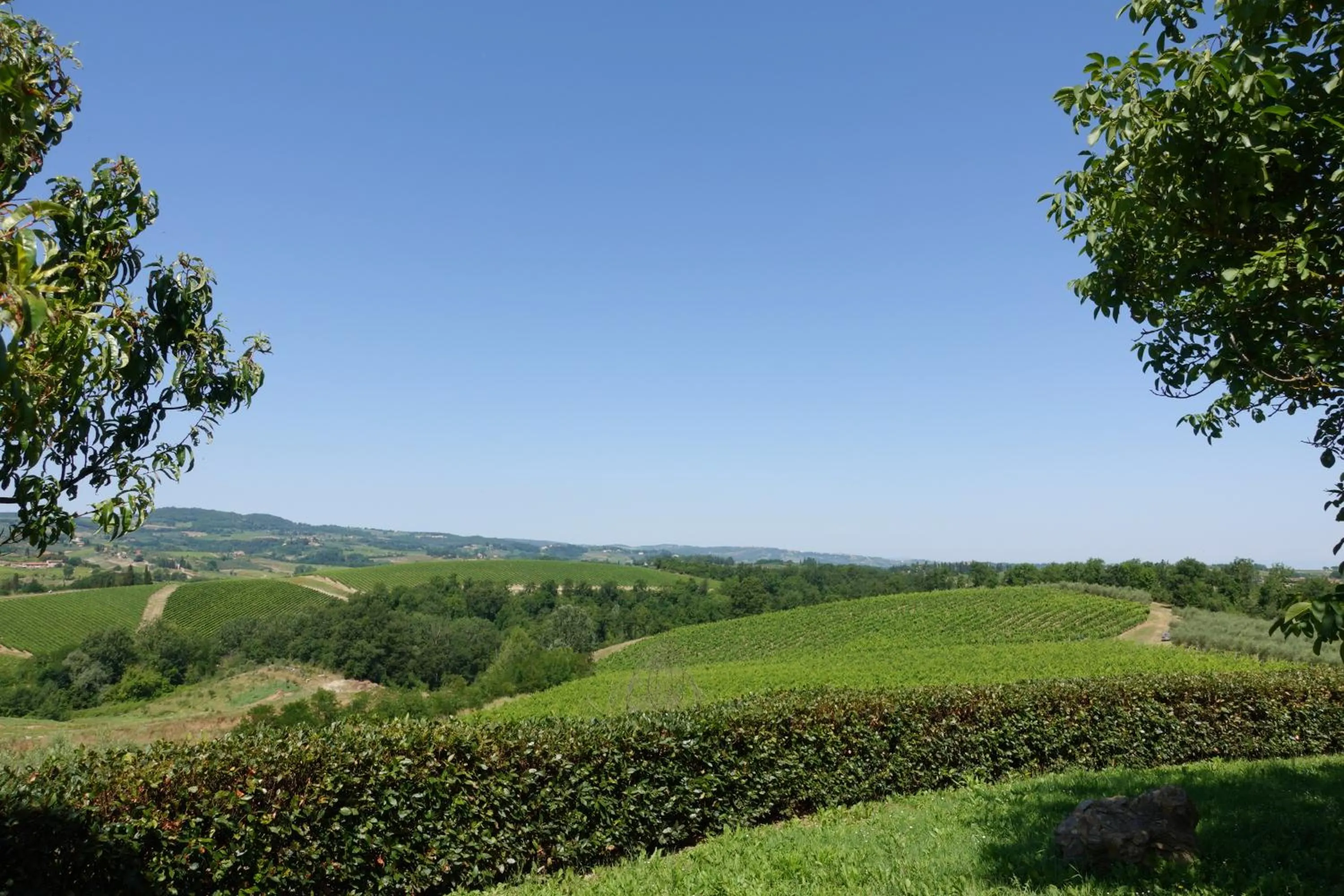 Natural landscape in Agriturismo Montegonfoli