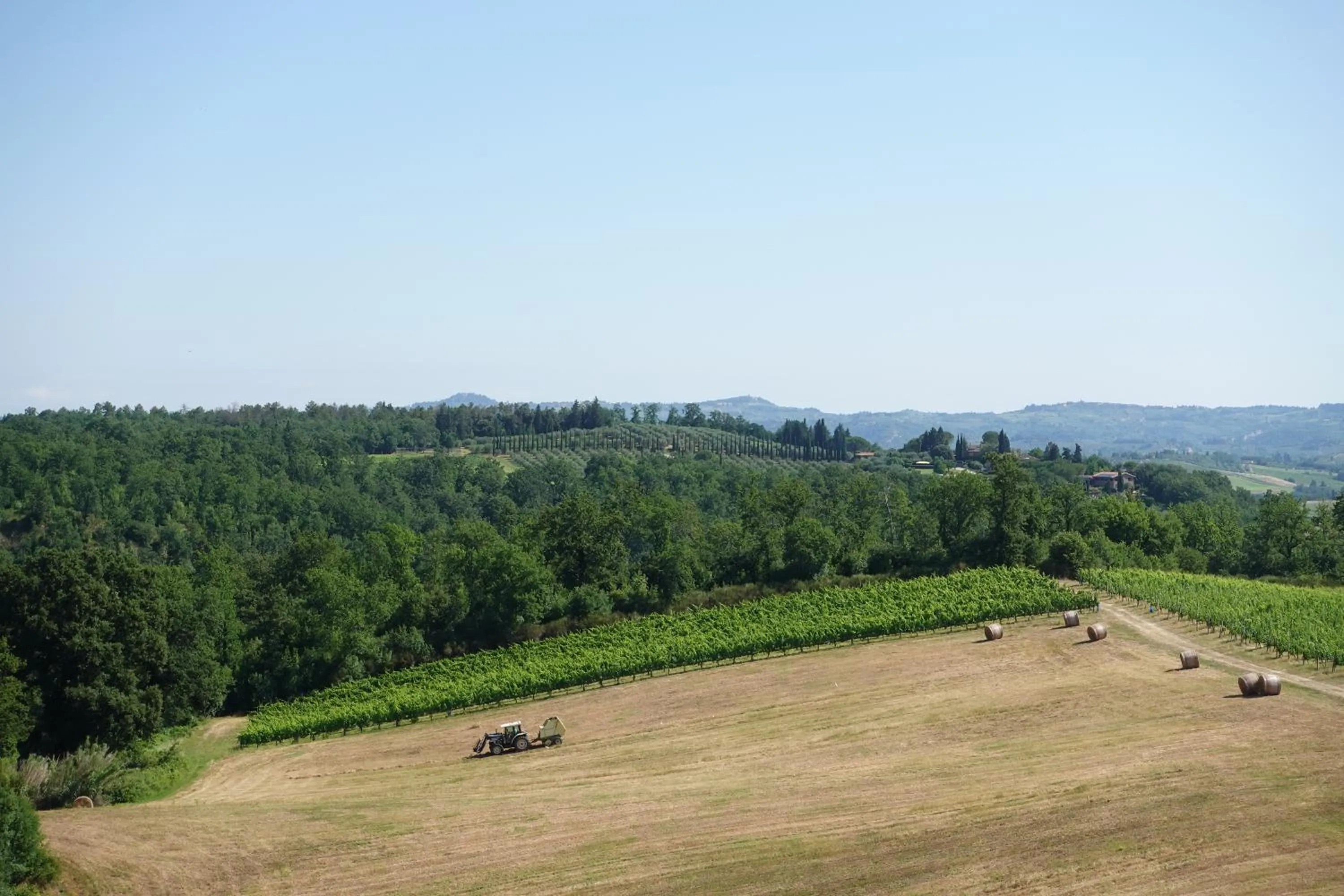 Natural landscape in Agriturismo Montegonfoli